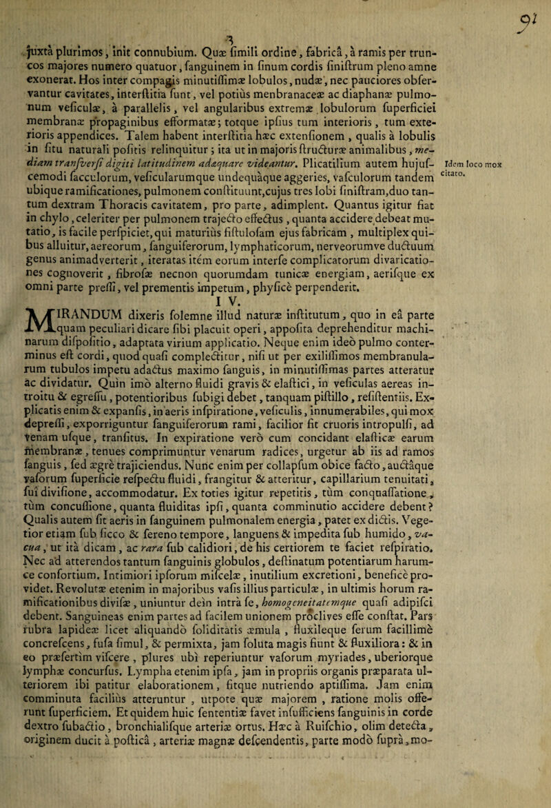 juxta plurimos, init connubium. Quae fimili ordine, fabrica, a ramis per trun¬ cos majores numero quatuor, fanguinem in finum cordis finiftrum pleno amne exonerat. Hos inter compagis minutiflim® lobulos, nudae, nec pauciores obfer- vantur cavitates, interftitia funt, vel potius menbranace® ac diaphanae pulmo¬ num veficul®, a parallelis, vel angularibus extremae lobulorum fuperficiei membrana propaginibus efformatae; totque ipfius tum interioris, tum exte¬ rioris appendices. Talem habent interflitia haec extenfionem , qualis a lobulis in fitu naturali politis relinquitur ; ita ut in majoris ftrudur® animalibus, me¬ diam tranfverji digiti latitudinem adaquare videantur. Plicatilium autem hujuf- idem loco mox cemodi facculorum, veficularumque undequaque aggeries, vafculorum tandem Cltat0, ubique ramificationes, pulmonem conftituunt,cujus tres lobi finiftram,duo tan¬ tum dextram Thoracis cavitatem, pro parte, adimplent. Quantus igitur fiat in chylo, celeriter per pulmonem trajedfo effe&us, quanta accideredebeat mu¬ tatio, is facile perfpiciet,qui maturius fiftulofam ejus fabricam , multiplex qui¬ bus alluitur,aereorum, fanguiferorum, lymphaticorum, nerveorumve duduum genus animadverterit, iteratas item eorum interfe complicatorum divaricatio- nes cognoverit , fibrof® necnon quorumdam tunicae energiam, aerifque ex omni parte prefli, vel prementis impetum, phyfice perpenderit. IV. MIRANDUM dixeris folemne illud naturae inflitutum, quo in ea parte quam peculiari dicare libi placuit operi, appofita deprehenditur machi¬ narum difpofitio, adaptata virium applicatio. Neque enim ideo pulmo conter¬ minus eff cordi, quod quafi comple&itur, nifi ut per exiliflimos membranula¬ rum tubulos impetu adadtus maximo fanguis, in minutiffimas partes atteratur ac dividatur. Quin imb alterno fluidi gravis & elaftici, in veficulas aereas in¬ troitu & egrefiu, potentioribus fubigi debet, tanquam piftillo, refiAendis. Ex¬ plicatis enim & expanfis, in aeris infpiratione, veficulis, innumerabiles, qui mox depreffi, exporriguntur fanguiferorum rami, facilior fit cruoris intropulfi, ad tenam ufque, tranfitus. In expiratione vero cum concidant elaftic® earum membranas, tenues comprimuntur venarum radices, urgetur ab iis ad ramos fanguis, fed ®gre trajiciendus. Nunc enim per collapfum obice fadfo, aucfaque yaforum fuperficie refpebtu fluidi, frangitur & atteritur, capillarium tenuitatia fui divifione, accommodatur. Ex toties igitur repetitis, tum conquafTatione „ tum concuflione, quanta fluiditas ipfi, quanta comminutio accidere debent? Qualis autem fit aeris in fanguinem pulmonalem energia, patet ex didtis. Vege¬ tior etiam fub ficco & fereno tempore, languens & impedita fub humido, va¬ cua , ut ita dicam, ac rara fub calidiori, de his certiorem te faciet refpiratio. Nec ad atterendos tantum fanguinis globulos, deftinatum potentiarum harum- ce confortium. Intimiori ipforum mifcel®, inutilium excretioni, beneficepro- videt. Revolutae etenim in majoribus vafis illius particulae, in ultimis horum ra- mificationibus divif® , uniuntur dein intra fe, homogcneitatemque quafi adipifci debent. Sanguineas enim partes ad facilem unionem proclives effe conflat. Pars rubra lapide® licet aliquando foliditatis cernula , fluxileque ferum facillime concrefcens, fufa fimul, & permixta, jam foluta magis fiunt & fluxiliora: & in eo praefertim vifcere , plures ubi reperiuntur vaforum myriades, uberiorque lymph® concurfus. Lympha etenim ipfa, jam in propriis organis praeparata ul¬ teriorem ibi patitur elaborationem, fitque nutriendo aptiflima. Jam enim comminuta facilius atteruntur , utpote qu® majorem , ratione molis offe¬ runt fuperficiem. Et quidem huic fententiae favet infufficiens fanguinis in corde dextro fubadio, bronchialifque arteri® ortus. H®c a Ruifchio, olim detetfta,, originem ducit a poftica , arteri® magn® defcendentis, parte modo fupra»mo-