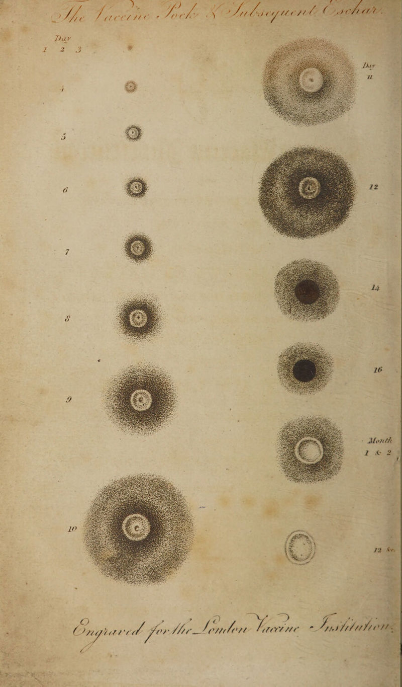 - ^//.ti//// // / ’ /1 -