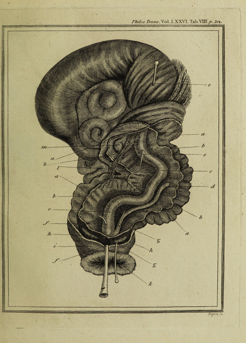 « Philvs.Trans.Vol.LXXVT. Tab-VUT./*. 3n WM'V WlfflWm,