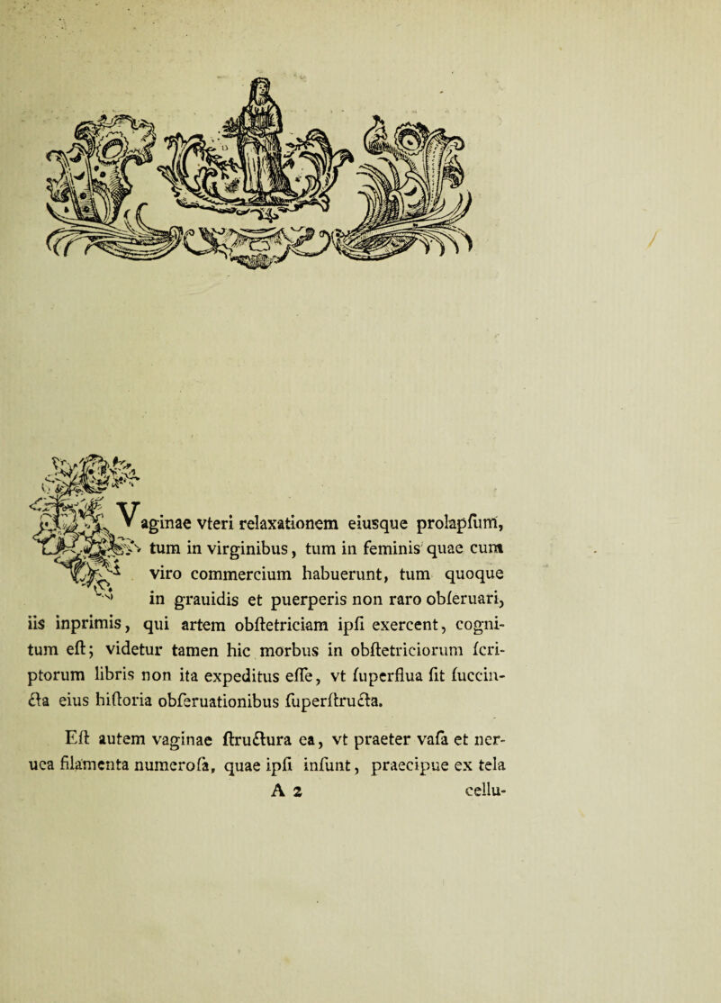 * aginae vteri relaxationem eiusque prolapfum, N- turn in virginibus, turn in feminis quae cum viro commercium habuerunt, turn quoque in grauidis et puerperis non raro obleruari, iis inprimis, qui artem obftetriciam ipfi exercent, cogni- turn eft; videtur tamen hie morbus in obftetriciorum feri- ptorum libris non ita expeditus efte, vt fuperflua fit fuccin- &a eius hiftoria obferuationibus fuperftructa. Eft autem vaginae ftru&ura ea, vt praeter vafa et ner- uca filamenta numerofa, quae ipft infunt , praecipue ex tela