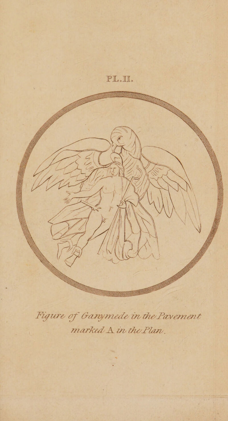 IP L.IIo Figure, of Farymede, ire they JFverr? en t marked,A in, the/Filer. -