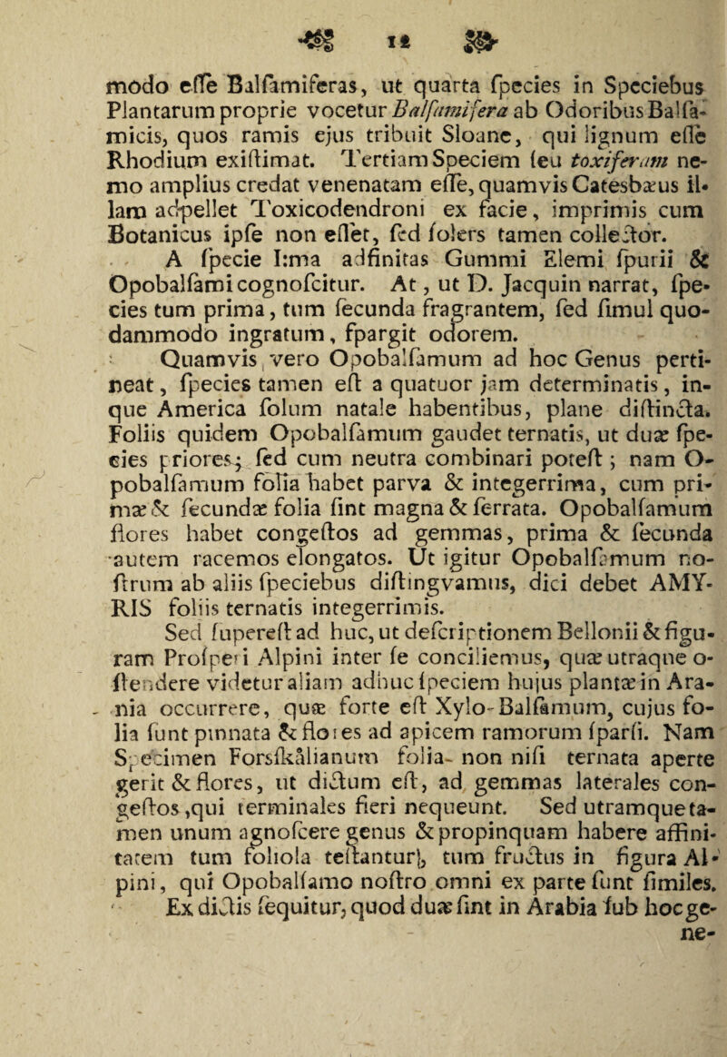 Plantarum proprie vocetur Balfumifera ab Odoribus Ba!fa¬ micis, quos ramis ejus tribuit Sloanc, qui lignum efle Rhodium exiflimat. Tertiam Speciem (eu toxiferam ne¬ mo amplius credat venenatam effle, quamvis Catesb&ms iU lam adpellet Toxicodendroni ex facie, imprimis cum Botanicus ipfe non e(let, fed folers tamen collevor. A fpecie I:ma adfinitas Gummi Elemi fpurii & Opobalfamicognofcitur. At, ut D. Jacquin narrat, fpe- cies tum prima, tum fecunda fragrantem, fed fimul quo¬ dammodo ingratum, fpargit odorem. ; Quamvis vero Opobalfamum ad hoc Genus perti¬ neat , fpecies tamen efl a quatuor jam determinatis, in- que America folum natale habentibus, plane difiincta. Foliis quidem Opobalfamum gaudet ternatis, ut dux fpe¬ cies priores; fed cum neutra combinari potefl; nam O- pobalfamum folialiabet parva & integerrima, cum pri- mx& fecunda folia fint magna & ferrata. Opobalfamum flores habet congeftos ad gemmas, prima & fecunda autem racemos elongatos. Ut igitur Opobalfamum no- ftrum ab aliis fpeciebus diftmgvamus, dici debet AMY- RIS foli is ternatis integerrimis. Sed fupereft ad huc, ut defcriptionem Bellonii & figu¬ ram Profpen Alpini inter fe conciliemus, queeutraqne o- flendere videtur aliam adhuc fpeciem hujus plantadn Ara- nia occurrere, quse forte eft Xylo* Balfamum^ cujus fo¬ lia funt pinnata &floies ad apicem ramorum fparfi. Nam Specimen Fors fkali anum folia- non nifi ternata aperte gerit & flores, ut didum efl, ad gemmas laterales con¬ geflos ,qui terminales fieri nequeunt. Sed utramque ta¬ men unum agnofcere genus & propinquam habere affini¬ tatem tum foliola teflanturj, tum frucfus in figura AI* pini, qui Opobalfamo noftro omni ex parte funt fimiles. ' Ex diJtis fequitur5 quod duasfint in Arabia fub hocge-