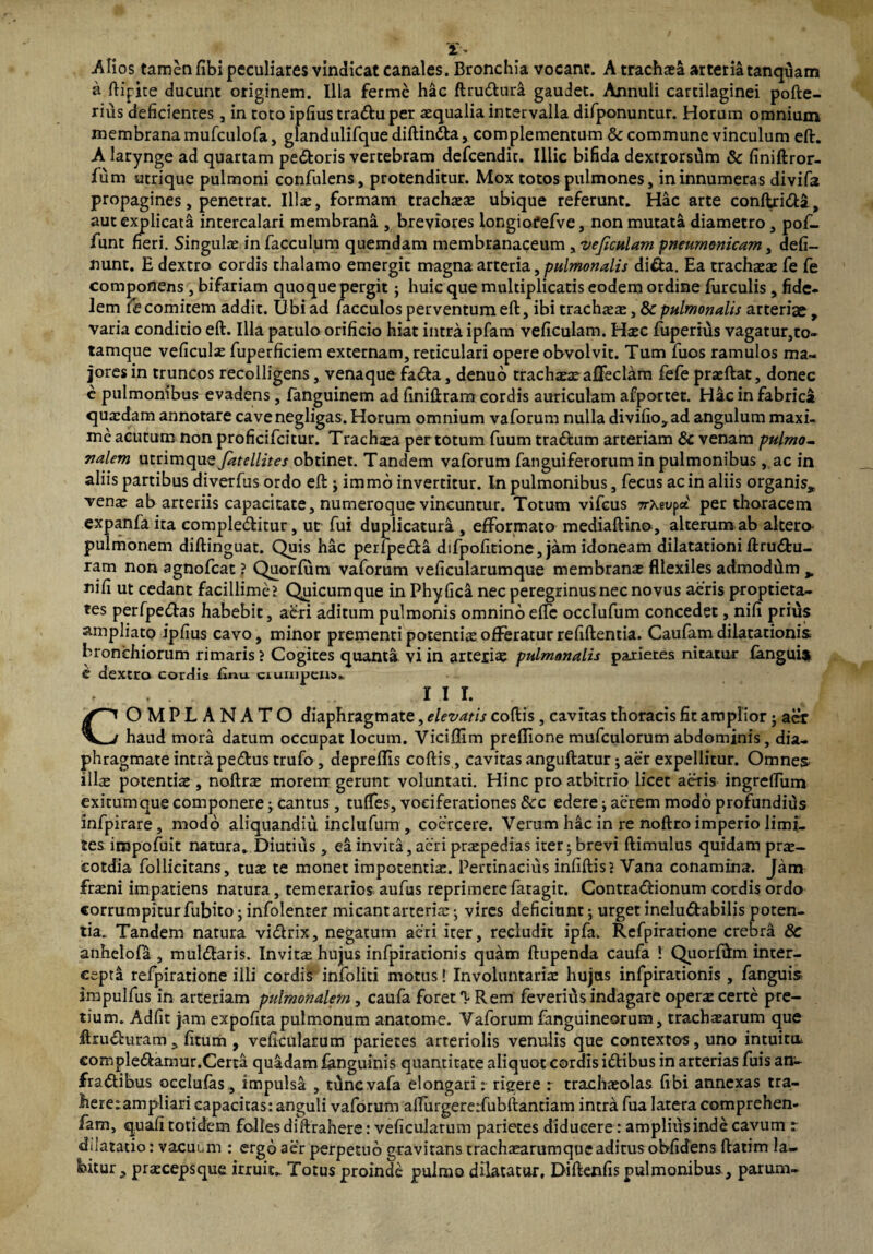 xs Alios tamen fibi peculiares vindicat canales. Bronchia vocant. A trachxa arteriatanquam a ftipite ducunt originem. Illa ferme h&c ftrudura gaudet. Annuli cartilaginei pofte- rius deficientes , in toto ipfius traduper aequalia intervalla difponuntur. Horum omnium membrana mufculofa, glandulifquediftinda, complementum & commune vinculum eft. A larynge ad quartam pedoris vertebram defcendit. Illic bifida dextrorsidm & finiftror- fum utrique pulmoni confulens, protenditur. Mox totos pulmones, in innumeras divifa propagines, penetrat. Illae, formam tracheae ubique referunt. Hac arte conftrida, aut explicata intercalari membrana , breviores longiofefve, non mutata diametro, po£- funt neri. Singulae in facculum quemdam membranaceum , veficulam pneumonicam, defi- nunt. E dextro cordis thalamo emergit magna arteria, pulmonalis dida. Ea trachaeae fe fe componens , bifariam quoque pergit; huic que multiplicatis eodem ordine furculis , fide¬ lem (s comitem addit. Ubi ad facculos perventum eft, ibi trachaeae, & pulmonalis arteriae , varia conditio eft. Illa patulo orificio hiat intra ipfam veficulam. Haec fuperius vagatur,to- tamque veficulae fuperficiem externam, reticulari opere obvolvit. Tum fuos ramulos ma¬ jores in truncos recolligens, venaque fada, denuo trachxx affeclam fefe praeftat, donec c pulmonibus evadens , fanguinem ad finiftram cordis auriculam afportet. Hac in fabrica quxdam annotare cavenegligas. Horum omnium vaforum nulla divifio^ad angulum maxi¬ me acutum non proficifcitur. Trachxa per totum fuum tradum arteriam Sc venam pulmo¬ nalem utrimque fatellites obtinet. Tandem vaforum fanguiferorum in pulmonibus , ac in aliis partibus diverfus ordo eft j immo invertitur. In pulmonibus, fecus ac in aliis organis* venae ab arteriis capacitate, numeroque vincuntur. Totum vifcus nXevfa per thoracem expanfa ita compleditur, ut fui duplicatura , efformato mediaftino, alterum ab altero- pulmonem diftinguat. Quis hac perlpeda difpofitione, jam idoneam dilatationi ftrudu- ram non agnofeat ? Quorfum vaforum veficularumque membranae fllexiles admodum * nifi ut cedant facillime? Quicumque in Phyfica nec peregrinus nec novus aeris proptieta- tes perfpedas habebit, aeri aditum pulmonis omnino effc occlufum concedet, nifi prius ampliato ipfius cavo, minor prementi potentiae offeratur refiftentia. Caufam dilatationis bronchiorum rimaris ? Cogites quanta vi in arteriae pulmonalis paxietes nitatur £angui$ t dextro cordis W ciumpuu. , . . III. COMPLANATO diaphragmate, elevatis coftis, cavitas thoracis fit amplior; aer haud mora datum occupat locum. Viciftim preflione mufculorum abdominis, dia¬ phragmate intra pedus trufo , depreflis coftis, cavitas anguftatur; aer expellitur. Omnes ilice potentiae , noftrae morem gerunt voluntati. Hinc pro atbitrio licet aeris ingreffum exitumque componere; cantus, tuffes, vociferationes 8cc edere acrem modo profundius infpirare, modo aliquandiii inclufum , coercere. Verum hic in re noftro imperio limi¬ tes iropofuit natura. Diutius , ea invita, acri prxpedias iter ; brevi ftimulus quidam prx- cotdia follicitans, tuae te monet impotentiae. Pertinacius infiftis? Vana conamina. Jam frxni impatiens natura , temerarios aufus reprimere fatagit. Contradionum cordis ordo corrumpitur fubito; infolenter micant arteriae • vires deficiunt; urget ineludabilis poten¬ tia. Tandem natura vidrix, negatum aeri iter, recludit ipfa, Refpiratione crebra 8c anhelofa , muldaris. Invitx hujus infpirationis quam ftupenda caufa ! Quorfftm inter¬ cepta refpiratione illi cordis infoliti motus! Involuntaria: hujus infpirationis , fanguis impulfus in arteriam pulmonalem, caufa foret Rem feverius indagare operx certe pre¬ tium. Adfit jam expofita pulmonum anatome. Vaforum fanguineorum, trachxarum que ilruduram , fitum , veficularum parietes arteriolis venulis que contextos, uno intuitiL eompledamur.Certa quadam languinis quantitate aliquot cordis idibus in arterias fuis an- fradibus occlufas, impulsa , tunevafa elongari: rigere r trachxolas fibi annexas tra- here:ampliari capacitas: anguli vaforum affurgererfubftantiam intra fua latera comprehen- fam, quafi totidem folles diftrahere: veficularum parietes diducere: amplius inde cavum r dilatatio: vacuum : ergo aer perpetuo gravitans trachxarumque aditus obfidens ftatim la- bitur , prxeepsque irruit. Totus proinde pulmo dilatatur, Diftenfis pulmonibus, parum-