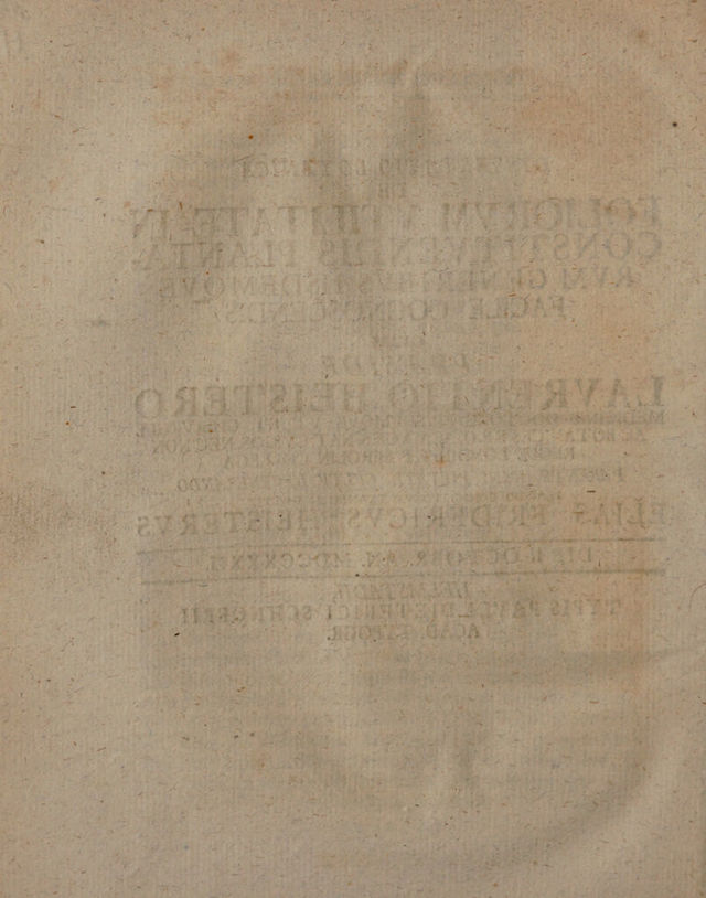 digitised image 2