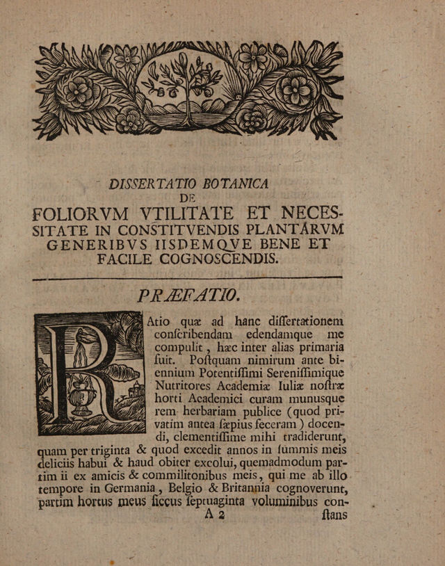 digitised image 3