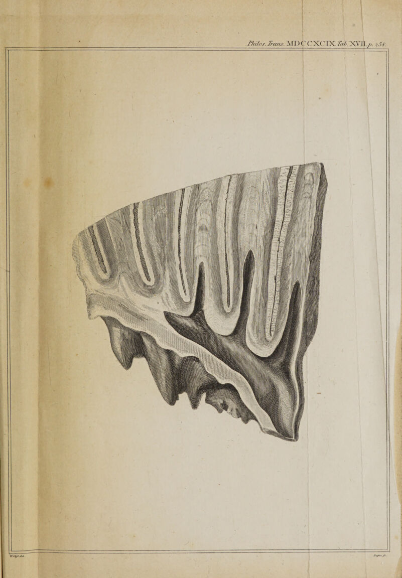 Phi/os. Trans. A ID C C X ( ’ IX, Ta/&gt;. ACV I I ./&gt;. z5S‘.