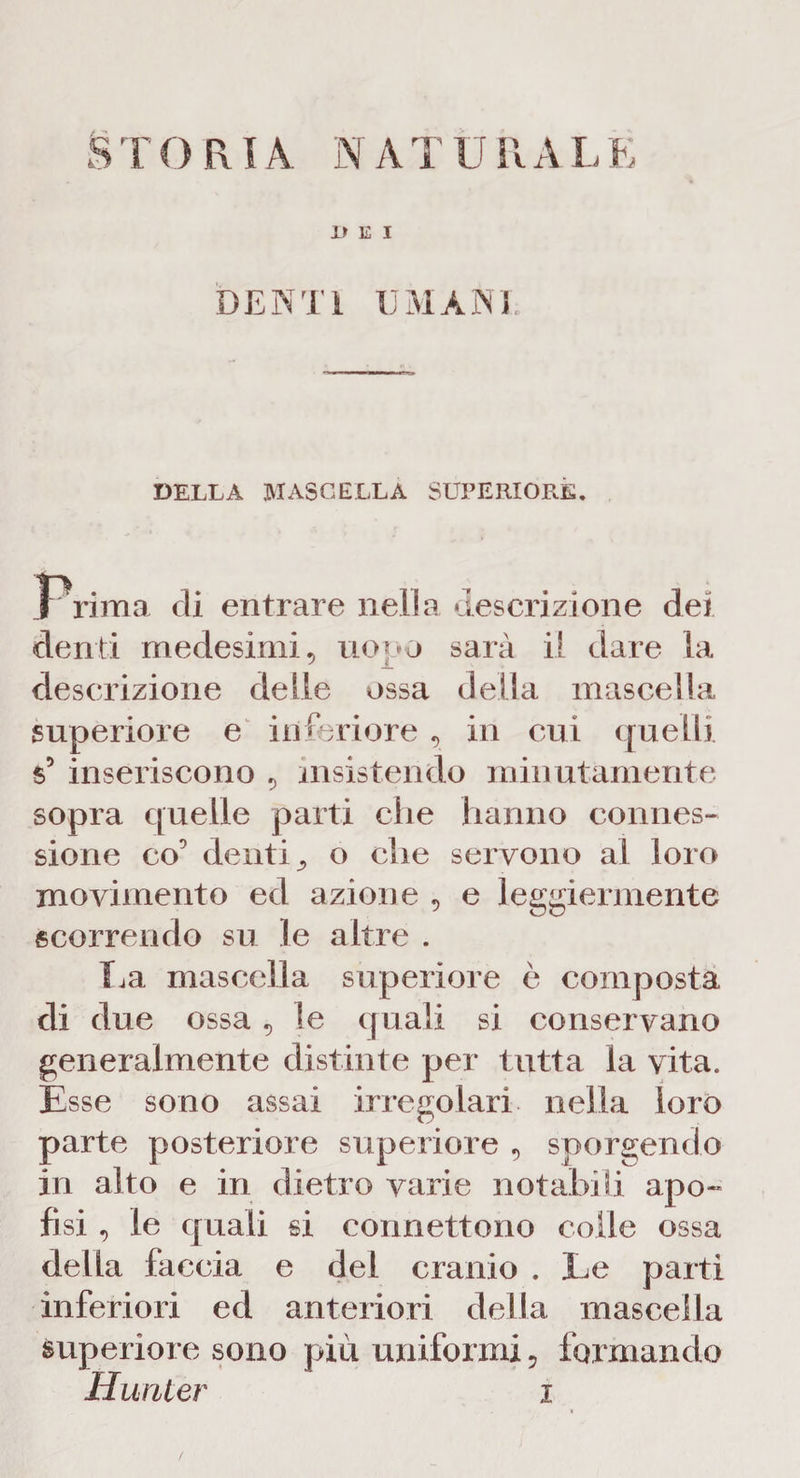 DEI DENTI UMANI. DELLA MASCELLA SUPERIORE. Prima di entrare nella descrizione dei denti medesimi, uopo sarà il dare la descrizione delle ossa della mascella superiore e inferiore , in cui quelli s5 inseriscono , insistendo minutamente sopra quelle parti che hanno connes¬ sione co denti, o che servono al loro movimento ed azione , e leggiermente scorrendo su le altre . La mascella superiore è composta di due ossa, le quali si conservano generalmente distinte per tutta la vita. Esse sono assai irregolari nella loro parte posteriore superiore , sporgendo in alto e in dietro varie notabili apo~ fisi, le quali si connettono colle ossa della faccia e del cranio . Le parti inferiori ed anteriori della mascella superiore sono più uniformi, formando Hunter i