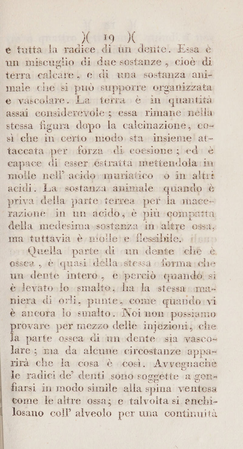 X x e tutta la radice di un dente. Essa e un miscuglio di due sostanze , cioè di terra calcare , e di una sostanza ani¬ male ciie si può supporre organizzata e vascolare. La terra è in quantità assai considerevole ; essa rimane nella stessa figura dopo la calcinazione, co¬ sì che in cerio modo sta insieme at¬ taccata per forza di coesione ; ed è capace di esser estratta mettendola in molle nell5 acido muriatico o in altri acidi. Ea sostanza animale quando e priva delia parte terrea per la mace¬ razione in un acido, è più compatta della medesima sostanza in altre ossa, ma tuttavia è molle e flessibile. Quella parte di un dente die è ossea , è quasi della stessa forma die un dente intero , e perciò quando si è levato lo smalto, ha la stessa ma¬ niera di orli, punte, come quando vi è ancora io smalto. Noi non possiamo provare per mezzo delle iniezioni, che la parte ossea di un dente sia vasco¬ lare ; ma da alcune circostanze appa¬ rirà che la cosa è cosà. Avvegnaché le radici de' denti sono soggette a gorm riarsi iti ro simile alla spina ventosa come le altre ossa; e talvolta si anelli- losano coll' alveolo per una continuità
