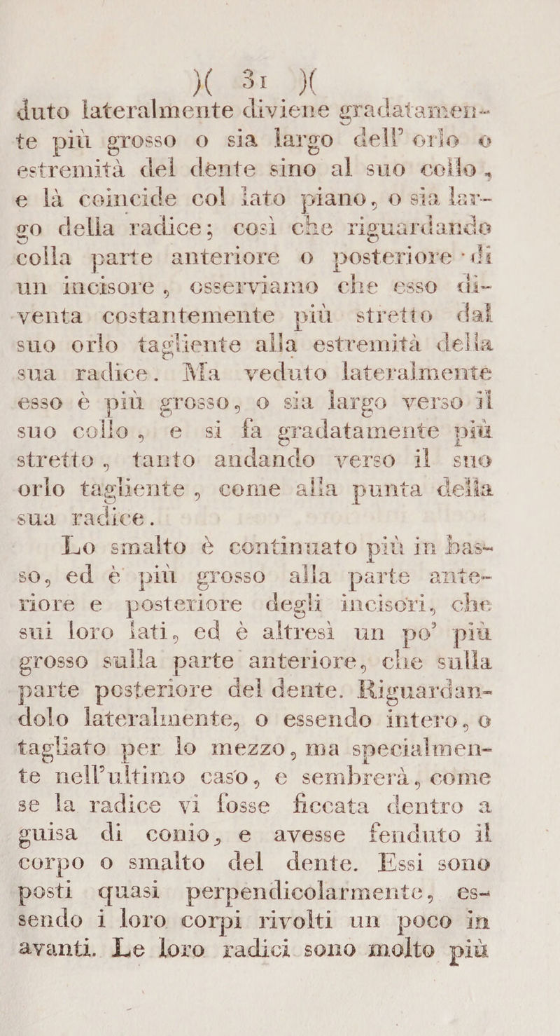 3* T Anto lateralmente diviene gradatamen¬ te più grosso o sia largo dell’ orlo o estremità del dènte sino al suo eolio , e là coincide col Iato piano, o sia lar¬ go della radice: così che riguardando colla parte anteriore o posteriore * di un incisore , osserviamo che esso di¬ venta costantemente più stretto dal suo orlo tagliente alia estremità della sua radice. Ma veduto lateralmente esso è più grosso, o sia largo verso il collo „ e si fa gradatamente più suo i suo stretto , tanto andando verso il orlo tagliente , come alla punta della sua radice. Lo smalto è continuato più in bas¬ so, ed è più grosso alla parte ante¬ riore e posteriore degli incisori, che sui loro lati, ed è altresì un po’ più grosso sulla parte anteriore, che sulla parte posteriore del dente. Riguardan¬ dolo lateralmente, o essendo intero, o tagliato per lo mezzo, ma specialmen¬ te nell’ultimo cas'o, e sembrerà, come se la radice vi fosse ficcata dentro a guisa di conio * e avesse fenduto il corpo o smalto del dente. Essi sono posti quasi perpendicolarmente, es¬ sendo i loro corpi rivolti un poco in avanti. Le loro radici sono molto più