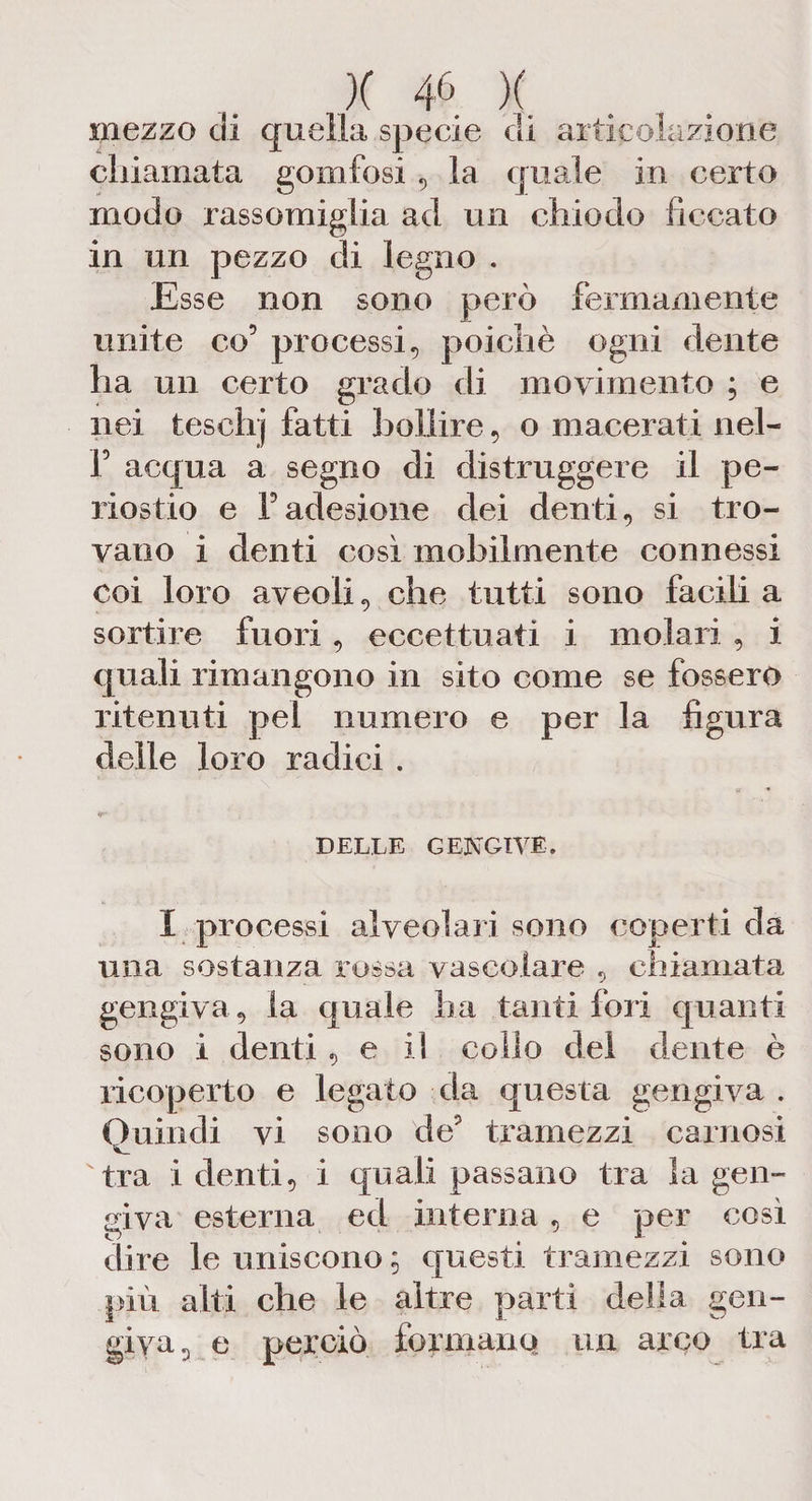 mezzo eli quella specie eli articolazione chiamata gomfosi , la quale in certo modo rassomiglia ad un chiodo ficcato in un pezzo di legno . Esse non sono però fermamente unite co5 processi, poiché ogni dente ha un certo grado di movimento ; e nei teschj fatti bollire, o macerati nel- f acqua a segno di distruggere il pe¬ riostio e Fadesione dei denti, si tro¬ vano i denti così mobilmente connessi coi loro aveoli, che tutti sono facili a sortire fuori , eccettuati i molari , i quali rimangono in sito come se fossero ritenuti pel numero e per la figura delle loro radici . *r DELLE GENGIVE. I processi alveolari sono coperti da una sostanza rossa vascolare , chiamata gengiva, la quale ha tanti fori quanti sono i denti , e il collo del dente è ricoperto e legato da questa gengiva . Quindi vi sono de? tramezzi carnosi tra i denti, i quali passano tra la gen¬ giva esterna ed interna , e per così dire le uniscono ; questi tramezzi sono più alti che le altre parti della gen¬ giva, e perciò formano» un arco tra