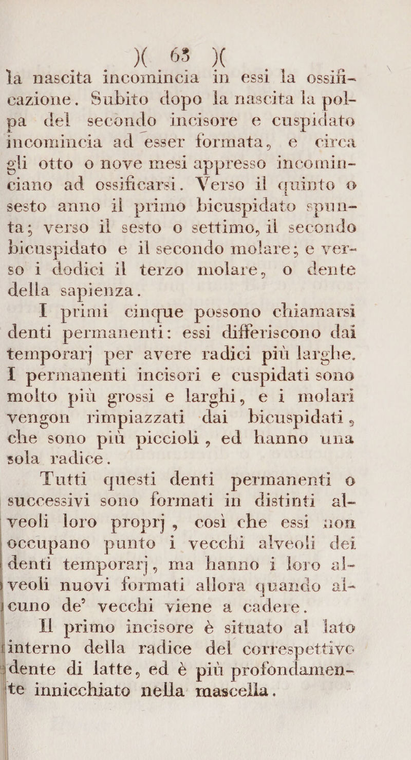 la nascita incomincia in essi la ossifi¬ cazione. Subito dopo la nascita la pol¬ pa del secondo incisore e cuspidato incomincia ad esser formata, e circa gli otto o nove mesi appresso incomin¬ ciano ad ossificarsi. Verso iì quinto o sesto anno il primo bicuspidato spun¬ ta; verso il sesto o settimo, il secondo bicuspidato e il secondo molare; e ver¬ so i dodici il terzo molare, o dente della sapienza. I primi cinque possono chiamarsi denti permanenti: essi differiscono dai temporarj per avere radici più larghe. I permanenti incisori e cuspidati sono molto più grossi e larghi, e i molari vengon rimpiazzati dai bicuspidali 5 che sono più piccioli , ed hanno una sola radice. Tutti questi denti permanenti o successivi sono formati in distinti al¬ veoli loro proprj , così che essi non occupano punto i vecchi alveoli dei denti temporarj, ma hanno i loro al¬ veoli nuovi formati allora quando ai- jcuno de5 vecchi viene a cadere. II primo incisore è situato al lato interno della radice del correspettivo dente di latte, ed è più profondamen¬ te innicchiato nella mascella.