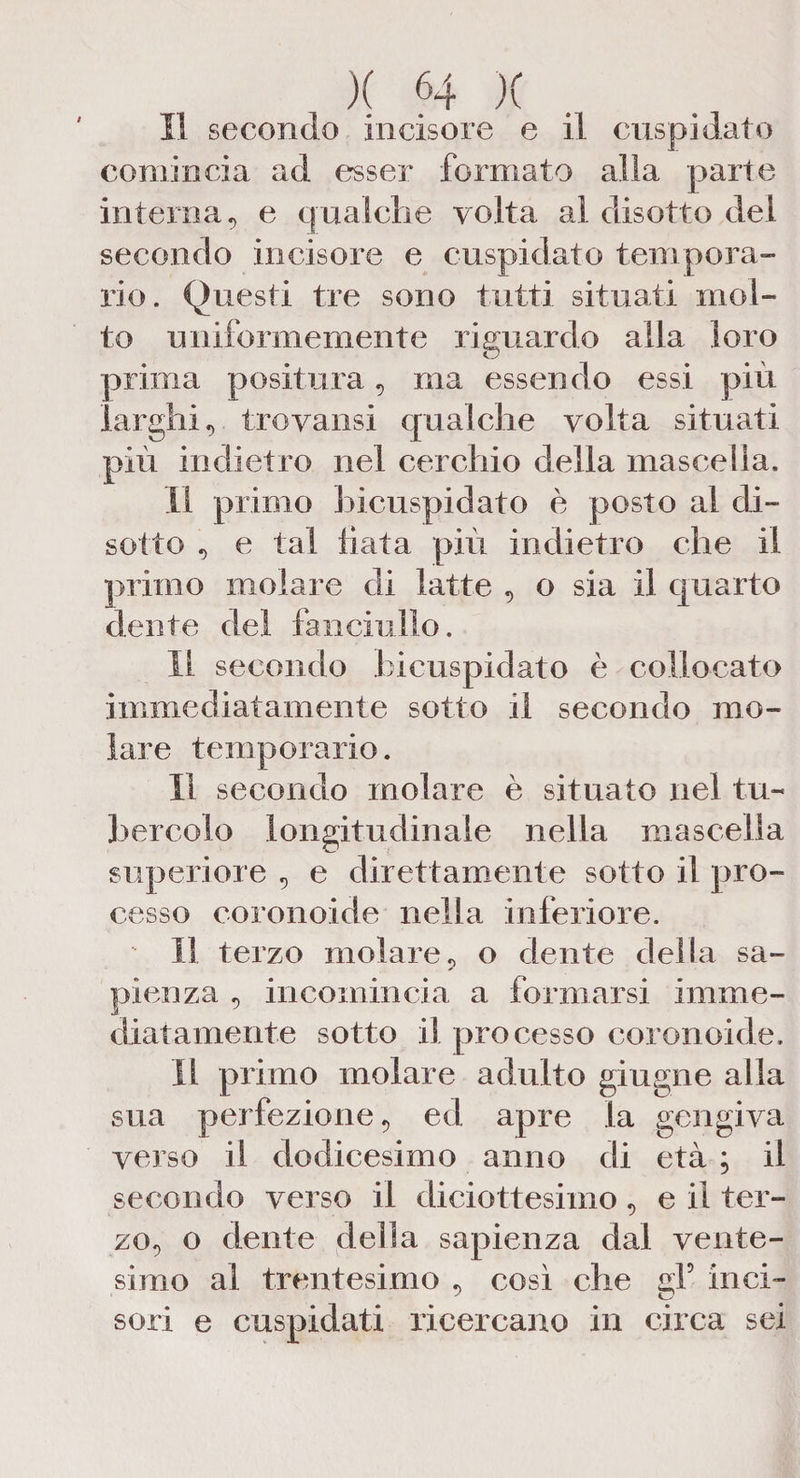 Il secondo incisore e il cuspidato comincia ad esser formato alia parte interna, e qualche volta al disotto del secondo incisore e cuspidato tempera¬ rlo. Questi tre sono tutti situati mol¬ to uniformemente riguardo alla loro prima positura, ma essendo essi più larghi, trovami qualche volta situati più indietro nel cerchio della mascella. Il primo hi cu spi dato è posto al di¬ sotto , e tal fiata più indietro che il primo molare di latte , o sia il quarto dente del fanciullo. Il secondo bicuspidato è collocato immediatamente sotto il secondo mo¬ lare temp orario. Il secondo molare è situato nel tu¬ bercolo longitudinale nella mascella superiore , e direttamente sotto il pro¬ cesso coronoide nella inferiore. Il terzo molare, o dente della sa¬ pienza , incomincia a formarsi imme¬ diatamente sotto il processo coronoide. Il primo molare adulto giugne alla sua perfezione, ed apre la gengiva verso il dodicesimo anno di età ; il secondo verso il diciottesimo, e il ter¬ zo, o dente delia sapienza dal vente¬ simo al trentesimo , così che gf inci¬ sori e cuspidati ricercano in circa sei