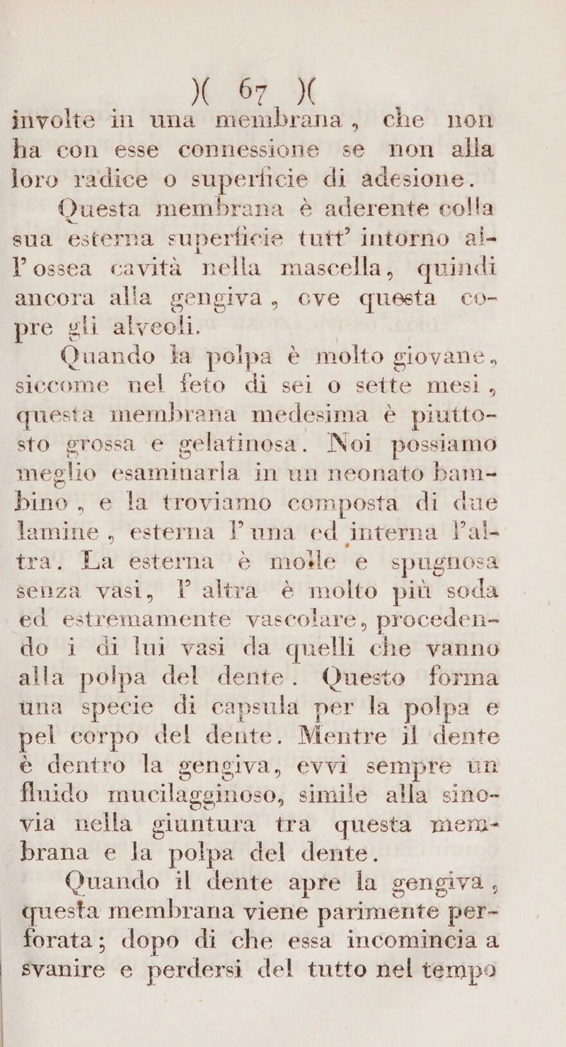 involte in una membrana, che non ha con esse connessione se non alla loro radice o superfìcie di adesione. Onesta membrana è aderente colla sua esterna superfìcie turi5 intorno al- l’ossea cavità nella mascella, quindi ancora alla gengiva , ove questa co¬ pre gli alveoli. Quando la polpa è molto giovane, siccome nel feto di sei o sette mesi , questa membrana medesima è piutto¬ sto grossa e gelatinosa. Noi possiamo meglio esaminarla in un neonato bam¬ bino , e la troviamo composta, di due lamine , esterna 1’ una ed interna fai- tra. La esterna è molle e spugnosa senza vasi, Y altra è molto più socia ed estremamente vascolare, proceden¬ do i di lui vasi ria quelli che vanno alla polpa del dente . Questo forma una specie di capsula per la polpa e pel corpo del dente. Mentre il dente è dentro la gengiva, evvi sempre un fluido mucilagginoso, simile alla sino¬ via nella giuntura tra questa mem¬ brana e la polpa del dente. Quando il dente apre la gengiva , questa membrana viene parimente per¬ forata ; dopo di che essa incomincia a s svanire e perdersi del tutto nel tempo