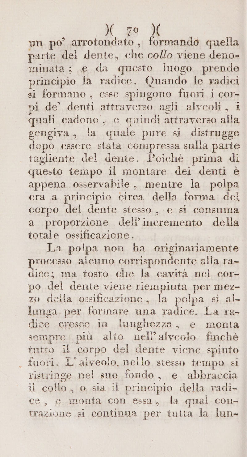 )( 7° )( un po’ arrotondato , formando quella parte del dente * che collo viene deno- minata ; ,e da questo luogo prende principio la radice. Quando le radici si formano , esse spingono fuori i cor¬ ni de’ denti attraverso a vìi alveoli , i quali cadono , e quindi attraverso alla gengiva , la quale pure si distrugge dopo essere stata compressa sulla parte tagliente del dente. Poiché prima di questo tempo il montare dei denti è appena osservabile 9 mentre la polpa era a principio circa della forma dei corpo del dente stesso ? e si consuma a proporzione dell’incremento della totale ossificazione. La polpa non ha originariamente processo alcuno corrispondente alla ra¬ dice; ma tosto che la cavità nel cor¬ po del dente viene riempiuta per mez¬ zo delia ossificazione , la polpa si al¬ lunga per formare una radice. La ra¬ dice cresce in lunghezza, e monta sempre più alto nell’alveolo finché tutto il corpo del dente viene spinto fuori, U alveolo, nello stesso tempo si ristringe nel suo fondo , e abbraccia il collo , o sia il principio della radi¬ ce ^ e monta con essa , la qual con¬ trazione si continua per tutta la Imi-