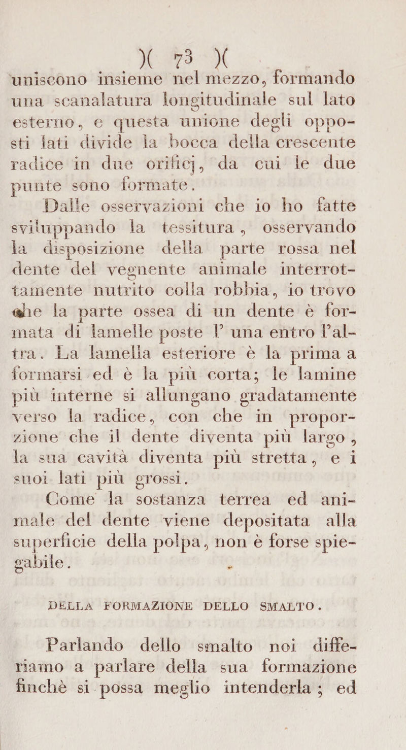 uniscono insieme nel mezzo, formando una scanalatura longitudinale sul lato esterno, e questa unione degli oppo¬ sti lati divide la bocca della crescente radice in due orificj, da cui le due punte sono formate. Dalle osservazioni che io ho fatte sviluppando la tessitura , osservando la disposizione della parte rossa nel dente del vegnente animale interrot¬ tali] ente nutrito colla robbia, io trovo lilie la parte ossea di un dente è for¬ mata di lamelle poste V una entro l’al¬ tra. La lamella esteriore è la prima a formarsi ed è la più corta; le lamine più interne si allungano gradatamente verso la radice, con che in propor¬ zione che il dente diventa più largo , la sua cavità diventa più stretta, e i suoi lati più grossi. Come la sostanza terrea ed ani¬ male del dente viene depositata alla superficie della polpa, non è forse spie¬ gabile . DELLA FORMAZIONE DELLO SMALTO . Parlando delio smalto noi diffe¬ riamo a parlare della sua formazione finché si possa meglio intenderla ; ed