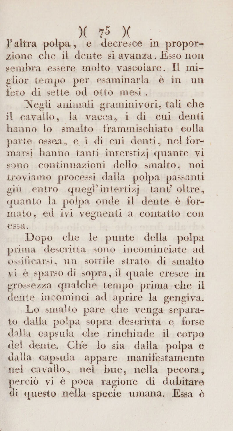 r altra polpa , e decresce in propor¬ zione ciie il dente si avanza. Esso non sembra essere molto vascolare. Il mi¬ glior tempo per esaminarla è in un feto di sette od otto mesi . Negli animali graminivori, tali che il cavallo, la vacca, i di cui denti hanno lo smalto frammischiato colla parte ossea, e i di cui denti, nel for¬ marsi hanno tanti interstizi quante vi sono continuazioni dello smalto, noi troviamo processi dalla polpa passanti giù entro quegFintertizj tant’ oltre, quanto la polpa onde il dente è for¬ mato, ed ivi vegnenti a contatto con essa. Dopo che le punte della polpa prima descritta sono incominciate ad ossificarsi, un sottile strato di smalto vi è sparso di sopra, il quale cresce in grossezza qualche tempo prima che il dente incominci ad aprire la gengiva. Lo smalto pare che venga separa¬ to dalla polpa sopra descritta e forse dalla capsula che rinchiude il corpo del dente. Che lo sia dalia polpa e dalia capsula appare manifestamente nel cavallo, nel bue, nella pecora, perciò vi è poca ragione di dubitare di questo nella specie umana. Essa è