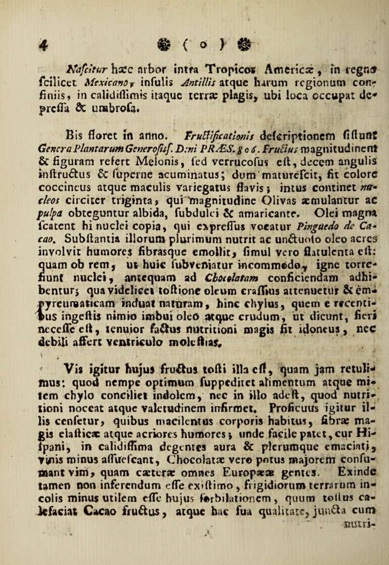 4 ( 01 ) tfafchur ha?c arbor intra Tropicos America:, in regner fcilicet Mexicar?ov infulis Antillis atque harum regionum con¬ finiis, in caiidiflimis itaque terne plagis, ubi loca occupat de-» prefla & unabrofa. Bis floret ifl anno. FruBlficatloms deferiptionem fifluftt Genera Plantarum Generojisf. D:ni PR/ES. $c6. Fructus roagnitudinent & figuram refert Melonis, fed verrucofus efl, decem angulis inftru&us £c fuperne acuminatus; dummaturefeit, fit colore coccineus atque maculis variegatus flavis ; intus continet na* deos circiter triginta, qui magnitudine Olivas aemulantur ac pulpa obteguntur albida, fubdulci & amaricante. Olei magna icatcnt hi nuclei copia, qui exprefius vocatur Pinguedo de Ca* cao, Subftantia illorum plurimum nutrit ac unftuoto oleo acres involvit humores fibrasque emollit, fimul vero flatulcnta efi: 2uam ob rem, ut huic fubveniatur incommodo* igne torre- unt nuclei, antequam ad Cbocdatam conficiendam adhi- bentur* qua videlicet tortione oleum craflius attenuetur &em- pyreumaticam inefuat naturam, hinc chylus, quem e rtcenti- i>us ingeftis nimio imbui oleo atque crudum, ut dicunt, fieri ncceflTeett, tenuior fa&us nutritioni magis fit idoneus, nec debili affert ventriculo moleftias, \' * ■* » Vis igitur hujus fru&us tofti illacft, quam jam retuln mus: quod nempe optimum fuppeditet alimentum atque mi* tem chylo conciliet indolem, nec in illo adeft, quod nutri», tioni noceat atque valetudinem irrfirroet. Proficuus igitur il¬ lis cenfetur, quibus macilentus corporis habitus, fibra: ma¬ gis eiafticx atque acriores humores \ unde facile patet, cur Hi» ipani, in calidiffima degentes aura & plerumque emaciati, vuiis minus afltfefcant, Chocolatae vero potus majorem confu¬ tuant vim, quam eae terte omnes Europa:® gentes. Exinde tamen non inferendum efle exiftimo , frigidiorum terrarum in¬ colis minus utilem efle hujus forbilationem, quum totius ca- iefaciat Cacao fruftus, atque hac fua qualitate, jun&a cum ~ , tuttri- .. , \ ^