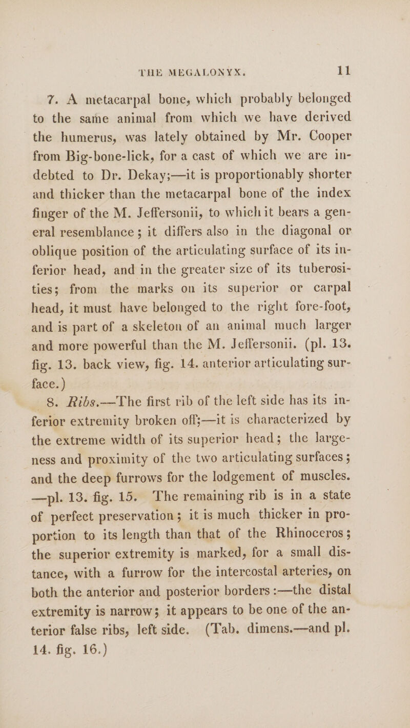 7. A metacarpal bone, which probably belonged to the same animal from which we have derived the humerus, was lately obtained by Mr. Cooper from Big-bone-lick, for a cast of which we are in¬ debted to Dr. Dekay;—it is proportionably shorter and thicker than the metacarpal bone of the index finger of the M. JefFersonii, to which it bears a gen¬ eral resemblance; it differs also in the diagonal or oblique position of the articulating surface of its in¬ ferior head, and in the greater size of its tuberosi¬ ties; from the marks on its superior or carpal head, it must have belonged to the right fore-foot, and is part of a skeleton of an animal much larger and more powerful than the M. Jelfersonii. (pi. 13. fig. 13. back view, fig. 14. anterior articulating sur¬ face.) 8. jRibs.—The first rib of the left side has its in¬ ferior extremity broken off:-—it is characterized by the extreme width of its superior head; the large¬ ness and proximity of the two articulating surfaces; and the deep furrows for the lodgement of muscles, —pi. 13. fig. 15. The remaining rib is in a state of perfect preservation; it is much thicker in pro¬ portion to its length than that of the Rhinoceros; the superior extremity is marked, for a small dis¬ tance, with a furrow for the intercostal arteries, on both the anterior and posterior borders :—the distal extremity is narrow; it appears to be one of the an¬ terior false ribs, left side. (Tab. dimens.—and pi. 14. fig. 16.)