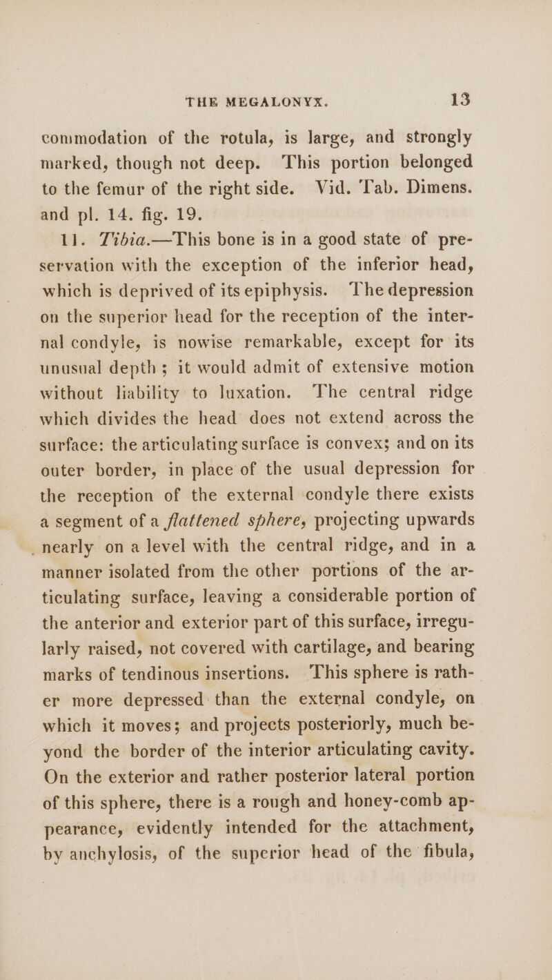 commodation of the rotula, is large, and strongly marked, though not deep. This portion belonged to the femur of the right side. A id. Tab. Dimens, an d pi. 14. fig. 19. 11. Tibia.—This bone is in a good state of pre¬ servation with the exception of the inferior head, which is deprived of its epiphysis. The depression on the superior head for the reception of the inter¬ nal condyle, is nowise remarkable, except for its unusual depth ; it would admit of extensive motion without liability to luxation. The central ridge which divides the head does not extend across the surface: the articulating surface is convex; and on its outer border, in place of the usual depression for the reception of the external condyle there exists a segment of a flattened sphere, projecting upwards nearly on a level with the central ridge, and in a manner isolated from the other portions of the ar« ticulating surface, leaving a considerable portion of the anterior and exterior part of this surface, irregu¬ larly raised, not covered with cartilage, and bearing marks of tendinous insertions. This sphere is rath¬ er more depressed than the external condyle, on which it moves; and projects posteriorly, much be¬ yond the border of the interior articulating cavity. On the exterior and rather posterior lateral portion of this sphere, there is a rough and honey-comb ap¬ pearance, evidently intended for the attachment, by anchylosis, of the superior head of the fibula,