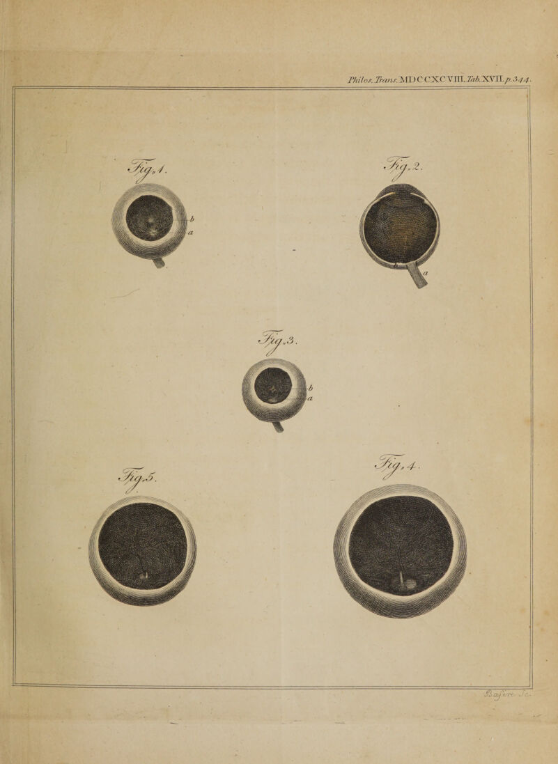 Philos. Trans. MD C C XC VJK. Tab.TLVU.p. 344. J3 aj'!/7'€.