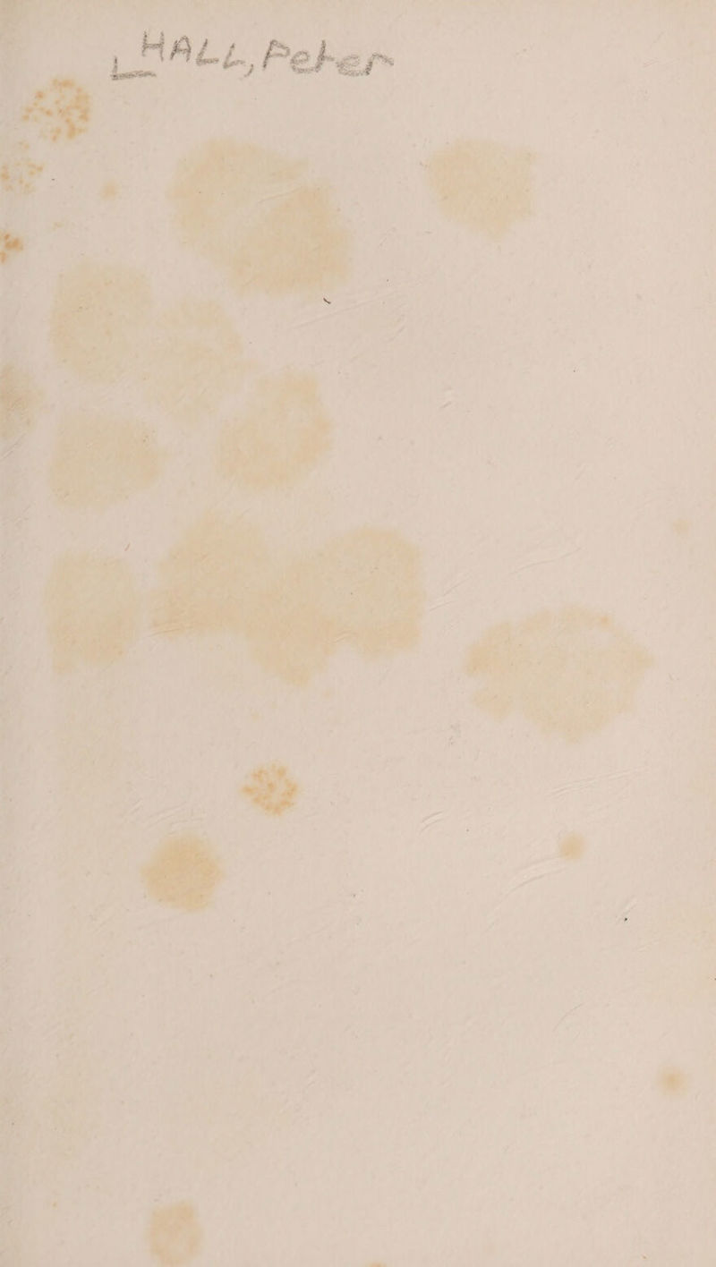 i'
