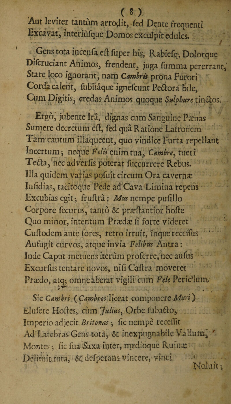 Aut leviter tantum arrodit, fed Dente frequenti Excavat, interiufque Domos exculpit edules. Gens tota Incenfa eft fuper his, Rabiefq-, Dolorque DIfcruciant Animos, frendent, juga fumma pererrant. Stare loco Ignorant, nam Catnbris prona Furori Corda calent, fubitaque ignefeunt Pefitora bile, Cum Digitis, credas Animos quoque Sulphure tin&os* Ergo, jubente Ira, dignas cum Sanguine Famas Sumere decretum eft, fed qua Ratione Latronem Tam'cautum illaqueent, quo vindice Furta repellant Incertum j neque Felis enim tua, Camke, tueri Tefta, ncc adverfis poterat fuccurrere Rebus. Illa quidem vatias pofuit circum Ora caverna: Infidias, tacitoque Pede adCava Limina repens Excubias egit ♦, fruftra: Mus nempe pufillo Corpore fecurus, tanto &: prarftantior hofte Quo minor, intentum Praeda: (i forte videret Cuftodem ante fores, retro irruit, inquereceffiis *' ' Aufugit curvos, atque invia Felibus Antra: Inde Caput metuens iterum proferre, nec aufus . Excurfus tentare novos, nifi Caftra moveret Pr^do, atq-5 omne aberat vigili cum Fele Periclum, Sic Cambrt (Cambrosliccat componere Muri) Elufere Hoftes, cum Julius, Orbe fubafto. Imperio adjecit Brixonas ^ fic nempe recellit Ad Latebras Gens toti, &! inexpugnabile Vatium, * Montes *, fic fua Saxa inter, medioque Ruina: Del itu it.tura. $c dcfperam Vincere, vinci. . V. ' Nolint ^