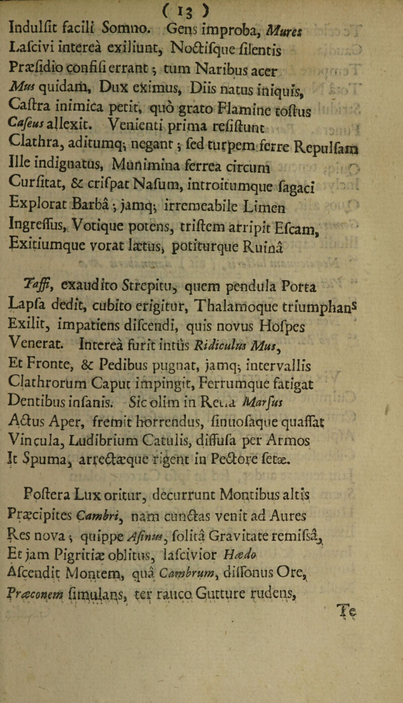 Indulfit facili Somno. Gens improba, Mures Lafcivi interea exiliunt, NodbTquc filentis Prxfidio confifi errant •, tum Naribus acer Mus quidam. Duxerimus, Diis nattis iniqufc, Caftra inimica petit, quo grato Flamine toftus Cafeus allexit. Venienti prima refiftunt Clathra, aditumq^ negant * fed turpem ferre Repulfam Ille indignatus, Munimina ferrea circum Curfitat, &: crifpatNafum, introitumque fagaci Explorat Barba *, jamq-, irremeabile Limen Ingreffus, Votique potens, triftem arripit Efcam, Exitiumque vorat lartus, potiturque Ruina Taffi, exaudito Strepitu, quem pendula Porta Lapfa dedit, cubito erigitur, Thalamoque triumphans Exilit, impatiens difcendi, quis novus Hofpes Venerat. Interea furit intiis Ridiculus Mus, Et Fronte, Sc Pedibus pugnat, jamq} intervallis Clathrorum Caput impingit, Ferrumque fatigat Dentibus infanis. Sic olim in Reua Marfus A&usAper, fremit horrendus, finuofaque quaflat Vincula, Ludibrium Catulis, diffufa per Armos It Spuma, arre£teque rigent in Peftore fetae. Foftera Lux oritur, decurrunt Montibus altis Pr^cipites Cambri, nam cuneas venit ad Aures Res nova * quippe Afinm, folita Gravitate remifsa, Et jam Pigritise oblitus, lafcivior Hado Afcendit Montem, qua Cambrum^ diflbnusOre, Triconem fimulans, ter rauco Gutture rudens, Te