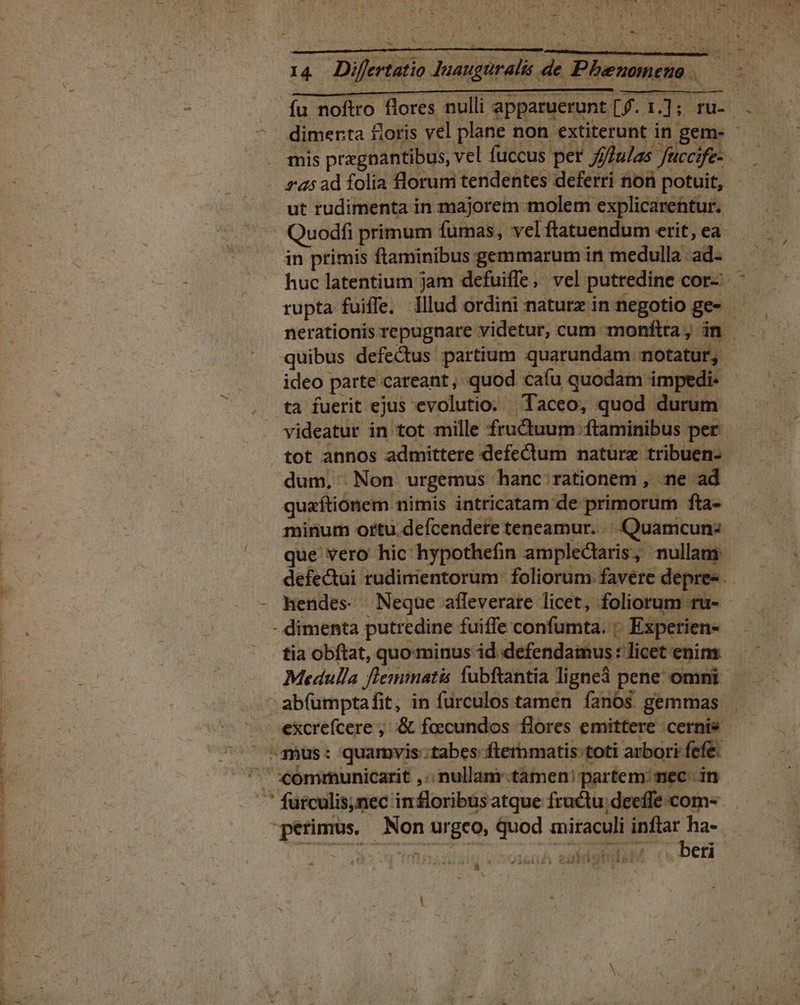 -— u- X : 14 Differtatio Inaugural de Pbhenoneno /— fu noftro flores nulli apparuerunt [f. 1.]; ru- ^ dimenta floris vel plane non extiterunt in gem- - . mis pregpantibus, vel fuccus per //fulas fuccife- ra5 ad folia florum tendentes deferri non potuit, ut rudimenta in majorem molem explicarentur. Quodfi primum fumas, vel ftatuendum erit, ea in primis ftaminibus gemmarum in medulla ad- huc latentium jam defuiffe, vel putredine cor- rupta fuiffe. Illud ordini nature in negotio ge» nerationis repugnare videtur, cum monftra, in quibus defectus partium quarundam. notatur, ideo parte careant, quod caíu quodam impedi- - tà fuerit ejus evolutio. Taceo, quod durum videatur in tot mille fructuum ftaminibus per tot annos admittere defectum naturz tribuen- dum. |Non urgemus hanc rationem , ne ad quzftionem nimis intricatam de primorum fta- minum ottu.defcendere teneamur. .: Quamcun: que vero hic hypothefin ampledlaris, nullam. defectui rudimentorum: foliorum. favere depre - hendes. — Neque afleverare licet, foliorum ru- - - dimenta putredine fuiffe confumta. : Expetien- tia obftat, quominus id defendamus : licet enim Medulla flemiatis fubftantia ligneà pene omni ab(umptafit, in furculos tamen íanos gemmas . — excrefcere ; .&amp; focundos flores emittere cernis — -qmus: quarmyvis:tabes ftermatis toti arbori fefe: ^ X ómmunicarit ,.. nullam tamen! partem: mec in  furculis;nec in floribus atque fructu.deeffe com- perimus, Non urgco, quod miraculi inflar ha- T 1 á » á H