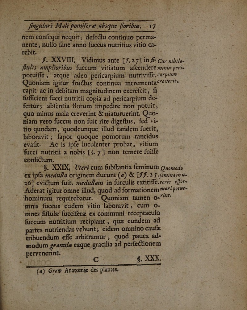 ^4 po- nente, nullo fane anno fuccus nutritius vitio ca- — f. XXVIII, Vidimus ante [f. 27] in 7 Cu» sibile- potuifle , atque adeo pericarpium nutrivilfe. carpiso» Quoniam igitur fructus continua incrementa fe capit ac in debitam magnitudinem excrefcit , fi fufficiens fucci nutritii copia ad pericarpium de- fertur; abfentia florum impedire non potuit, quo minus mala creverint &amp; maturuerint. Quo- niam vero fuccus non fuit rite digeftus, fed vi- tio quodam, quodcunque illud tandem fuerit, laboravit; fapor quoque pomorum rancidus confictum. | ^ 7$. XXIX, Ureri cum fubftantia feminum o,555,4 ex ipfa medulla originem ducunt (7) &amp; [5 f.2$.[eminainu- 26] evictum fuit, ;zeduZam in furculis extitife.zeris effor- fucci nutritii a nobis [$. 7 ] non temere fuifle partes nutriendas vehunt; eidem omnino caufz tribuendum effe arbitramur , quod pauca ad- modum granula eaque .gracilia ad perfectionem pervenerint. | | jo C Ue 6. XXX, (a) Grem. Anatomie dcs plantes. à