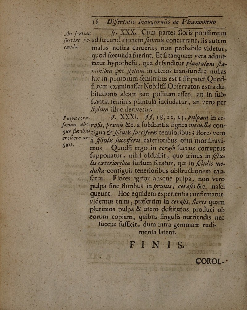 fuerint fu- P LBAMM SAY: eminis concurrant; iis autem - CHH de malus noítra caruerit; non probabile videtur, - - quod fecunda fuerint, Etfi tanquam vera admit- ^ ioa pomorum feminibus. extitiffe patet, Quod- - fi rem examinaflet Nobiliff, Obfervator; extra du. bitationis aleam jam pofitum effet; an in fub- ftantia feminis plantula includatur, an vero. per — o yl illuc derivetur. RINT Pulpactra-... 5 f. XXXL 6618,22. 23. MD forum. abs-rafis, prunis &amp;c.a lubftantia lignea: medulle con- que flori!5 tona C folis fucciferis tenuioribus j flores vero ctejcert toa illulis Jucciferis exterioribus oriri monfílravi- 7^ mus, Quodá ergo in cerafo faccus corruptus fupponatur, nihil obftabit, quo minus in //z- lis exterioribus (arum feratur, qui in f/]udis me- dulle contiguis tenerioribus obftructionem cau. fatur. . Flores: igitur. absqüe pulpa,. non vero pulpa fine floribus in pruuis , cerafis &amp;c.. naf queunt. . Hoc equidem. experientia confirmatur: videmus enim, prafertim in cera/fis, ores quam plurimos pulpa &amp; utero deftitutos, produci. ob. &amp;orum copiam, quibus fingulis nutriendis nec. fuccus fufficit, dum intra gemmam rudi- - menta latent. d dien, rd MELLE . A wies ca em