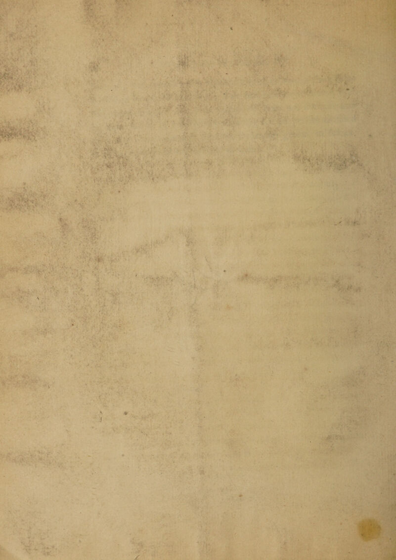 t- - y J :■ > > ' /u.V-v c . • ••’Z. if' - •. ■ * V • * '■.U' >• '• ,7V <;• ’ • i#vi: ■ -vfe- '.'f # p . . i - -'v - -.X • ‘! * « v - * ./• - . ■ •• '''' 1 r*.: - • v > ■ +• i • Ji '■