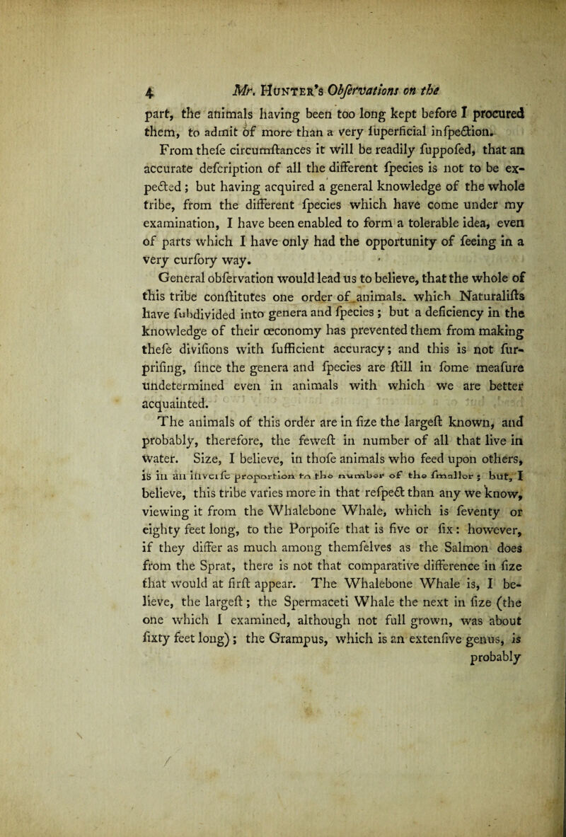 part, the animals having been too long kept before I procured them, to admit of more than a very fuperficial infpe&ion. From thefe circumftances it will be readily fuppofed, that an accurate defcription of all the different fpecies is not to be ex¬ pelled ; but having acquired a general knowledge of the whole tribe, from the different fpecies which have come under my examination, I have been enabled to form a tolerable idea, even of parts which I have only had the opportunity of feeing in a very curfory way. General obfervation would lead us to believe, that the whole of this tribe conftitutes one order of ..animals. which Naturalifts have fubdivided into genera and fpecies ; but a deficiency in the knowledge of their oeconomy has prevented them from making thefe divifions with fufficient accuracy; and this is not fur- prifing, fmce the genera and fpecies are {till in fome meafure undetermined even in animals with which we are better acquainted. The animals of this order are in fize the largeft known, and probably, therefore, the feweft in number of all that live in Water. Size, I believe, in thofe animals who feed upon others, is ill ail iiivcifc proportion, l-o fbo number of the fmnllor • but, I believe, this tribe varies more in that refpeft than any we know, viewing it from the Whalebone Whale, which is feventy or eighty feet long, to the Porpoife that is five or fix: however, if they differ as much among themfelves as the Salmon does from the Sprat, there is not that comparative difference in fize that would at firfb appear. The Whalebone Whale is, I be¬ lieve, the largeft; the Spermaceti Whale the next in fize (the one which I examined, although not full grown, was about fixty feet long) ; the Grampus, which is an extenfive genus, is probably