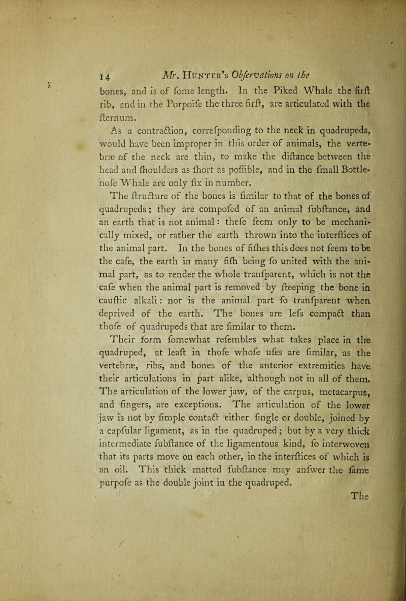 bones, and is of fome length. In the Piked Whale the fir ft rib, and in the Porpoife the three fir id, are articulated with the idem urn. As a contraction, correfponding to the neck in quadrupeds, would have been improper in this order of animals, the verte¬ brae of the neck are thin, to make the diftance between the head and fhoulders as fliort as poffible, and in the fmall Bottle- nofe Whale are only fix in number. The ftruCture of the bones is fimilar to that of the bones of quadrupeds; they are compofed of an animal fubftance, and an earth that is not animal: thefe feem only to be mechani¬ cally mixed, or rather the earth thrown into the interfaces of the animal part. In the bones of fifhes this does not feem to be the cafe, the earth in many fifh being fo united with the ani¬ mal part, as to render the whole tranfparent, which is not the cafe when the animal part is removed by fteeping the bone in cauflic alkali: nor is the animal part fo tranfparent when deprived of the earth. The bones are lefs compafit than thofe of quadrupeds that are fimilar to them. Their form fomewhat refembles what takes place in the quadruped, at leaf: in thofe whofe ufes are fimilar, as the vertebrae, ribs, and bones of the anterior extremities have their articulations in part alike, although not in all of them. The articulation of the lower jaw, of the carpus, metacarpus, and fingers, are exceptions. The articulation of the lower jaw is not by fimple contaCV either fingle or double, joined by a capfular ligament, as in the quadruped ; but by a very thick intermediate fubftance of the ligamentous kind, fo interwoven that its parts move on each other, in the interftices of which is an oil. This thick matted fubftance may anfwer the fame purpofe as the double joint in the quadruped. The