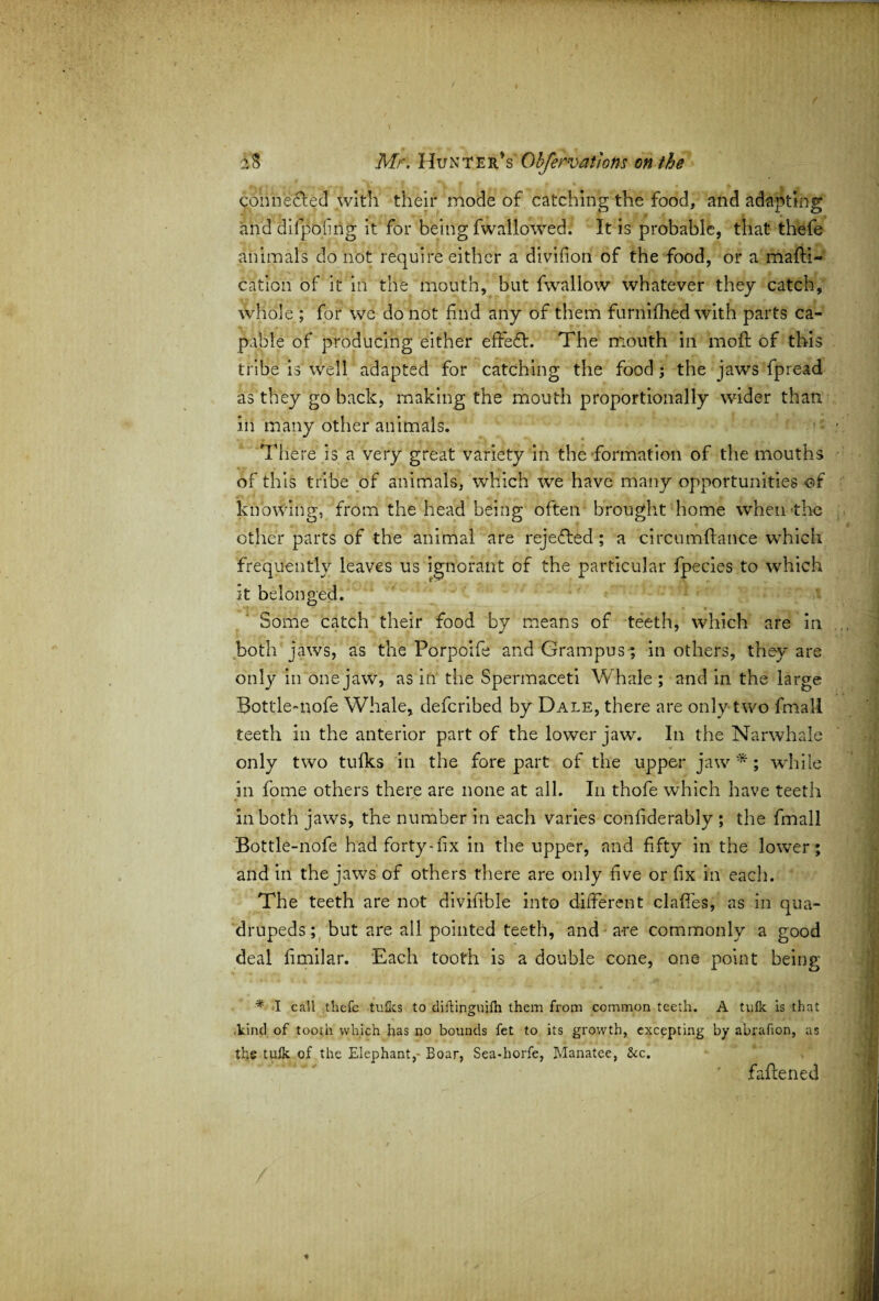 con n ested with their mode of catching the food, and adapting and difpoftig it for being fwallowed. It is probable, that thefe animals do not require either a divifion of the food, or a matti- catioii of it in the mouth, but fwallow whatever they catch, whole ; for we do not find any of them furnifhed with parts ca¬ pable of producing either effect. The mouth in raoft of this tribe is well adapted for catching the food; the jaws fpread as they go back, making the mouth proportionally wider than in many other animals. There is a very great variety in the formation of the mouths of this tribe of animals, which we have many opportunities of knowing, from the head being often brought home when the other parts of the animal are rejeTed; a circumfiance which frequently leaves us ignorant of the particular fpecies to which it belonged. Some catch their food by means of teeth, which are in both jaws, as the Porpoife and Grampus-; in others, they are only in one jaw, as in the Spermaceti Whale ; and in the large Bottle-nofe Whale, defcribed by Dale, there are only two fmall teeth in the anterior part of the lower jaw. In the Narwhale only two tulks in the fore part of the upper jaw *; while in fome others there are none at all. In thofe which have teeth in both jaws, the number in each varies confiderably ; the fmall Bottle-nofe had forty-fix in the upper, and fifty in the lower; and in the jaws of others there are only five or fix in each. The teeth are not divifible into different daffies, as in qua¬ drupeds; but are all pointed teeth, and are commonly a good deal fimilar. Each tooth is a double cone, one point being * I call thefe tulles to diftinguilh them from common teeth. A tulk is that .kind of tooth which has no bounds fet to its growth, excepting by abrafion, as the tulk of the Elephant,- Boar, Sea-horfe, Manatee, &c. fattened