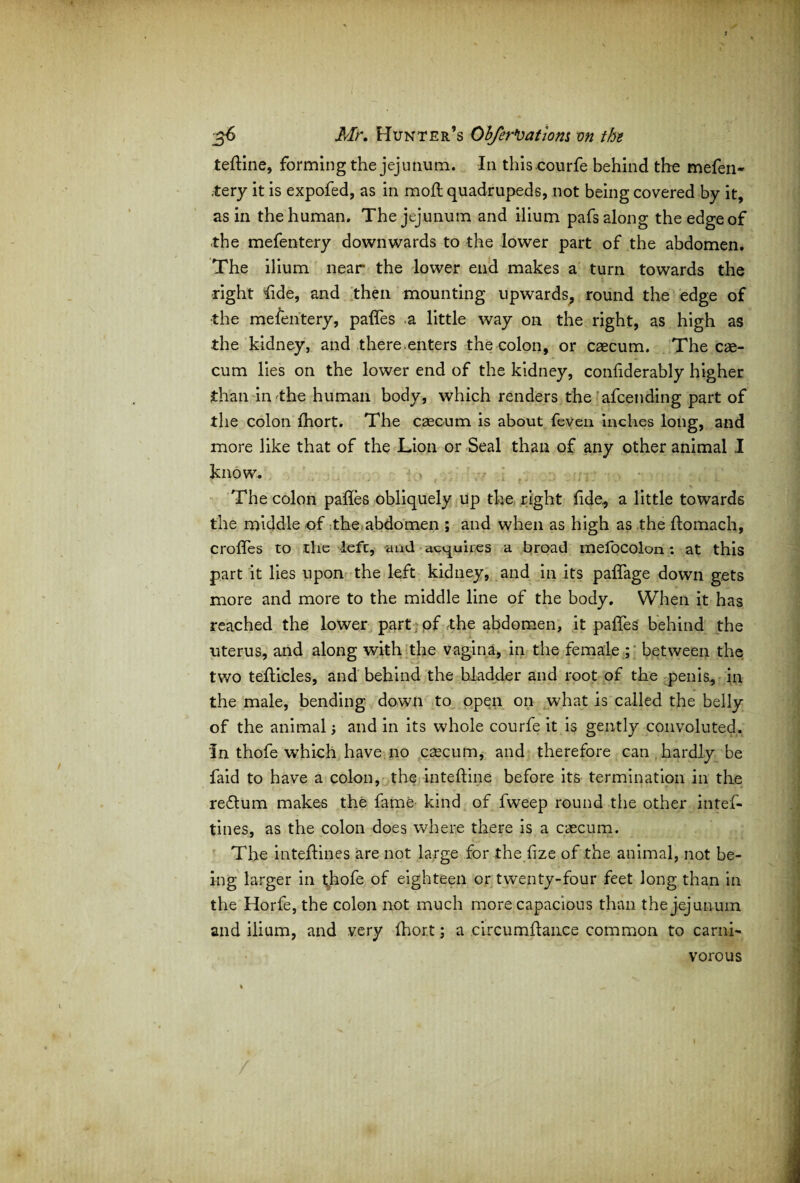 teftine, forming the jejunum. In thiscourfe behind the mefen- .tery it is expofed, as in moff quadrupeds, not being covered by it, as in the human. The jejunum and ilium pafs along the edge of the mefentery downwards to the lower part of the abdomen. The ilium near the lower end makes a turn towards the right fide, and then mounting upwards, round the edge of the mefentery, paffes .a little way on the right, as high as the kidney, and there.enters the colon, or caecum. The cae¬ cum lies on the lower end of the kidney, conliderably higher than in'the human body, which renders the afcending part of the colon fhort. The caecum is about feven inches long, and more like that of the Lion or Seal than of any other animal I know. The colon paffes obliquely up the right fide, a little towards the middle of the abdomen ; and when as high as the ftomach, croffes to the left, and acquires a broad mefocolon: at this part it lies upon the left kidney, and in its paffage down gets more and more to the middle line of the body. When it has reached the lower part, of The abdomen, it paffes behind the uterus, and along with the vagina, in the female between the two tefficles, and behind the bladder and root of the penis, in the male, bending down to open on what is called the belly of the animal and in its whole courfe it is gently convoluted. In thofe which have no caecum, and therefore can hardly be faid to have a colon, the inteftine before its termination in the reftum makes the fame kind of fweep round the other intef- tines, as the colon does where there is a caecum. The inteflines are not large for the fize of the animal, not be¬ ing larger in thofe of eighteen or twenty-four feet long than in the Horfe, the colon not much more capacious than the jejunum and ilium, and very (hort; a circumhance common to carni¬ vorous