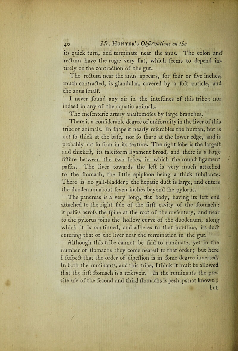 its quick turn, and terminate near the anus. The colon and' reCtum have the rugae very flat, which feems to depend in¬ ti rely on the contraction of the gut. The reCtum near the anus appears, for four or five inches, much contracted, is glandular, covered by a foft cuticle, and the anus final!. I never found any air in the intefiines of this tribe ; nor indeed in any of the aquatic animals. The mefenteric artery anaftomofes by large branches. There is a confiderable degree of uniformity in the liver of this tribe of animals. In fbapeit nearly refembles the human, but is not fo thick at the bafe, nor fo {harp at the lower edge, and is probably not fo firm in its texture. The right lobe is the largeft and thickefi, its falciform ligament broad, and there is a large fiffure between the two lobes, in which the round ligament pafles. The liver towards the left is very much attached to the fiomach, the little epiploon being a thick fubflance. There is no gall-bladder; the hepatic duCt is large, and enters the duodenum about feven inches beyond'the pylorus. The pancreas is a very long, flat body, having its left end attached to the right fide of the firfi cavity of the fiomach : it pafles acrofs the fpine at the root of the mefentery, and near to the pylorus joins the hollow curve of the duodenum, along which it is continued, and adheres to that intefiine, its duCt entering that of the liver near the termination in the gut. Although this tribe cannot be faid to ruminate, yet in the number of fiomachs they come nearefi to that order; but here I fufpeCl that the order of digefiion is in fome degree inverted. In both the ruminants, and this tribe, I think it muft be allowed that the firfi fiomach is a refervoir. In the ruminants the pre- cife ufe of the fecond and third fiomachs is perhaps not known ; but