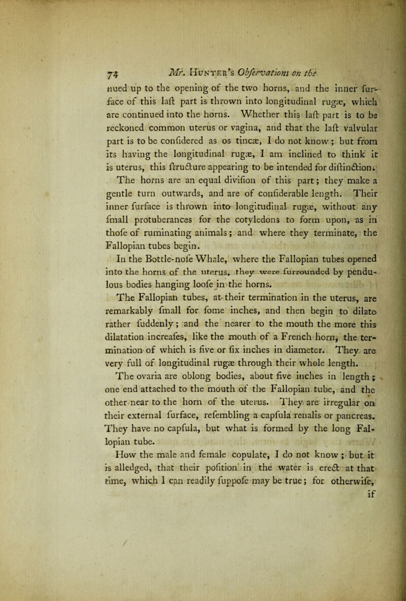 nued up to the opening of the two horns, and the inner fur- face of this laft part is thrown into longitudinal rugae, which are continued into the horns. Whether this laft part is to be reckoned common uterus or vagina, and that the laft valvular part is to be confidered as os tincae, I do not know; but from its having the longitudinal rugae, I am inclined to think it is uterus, this ftrudure appearing to be intended for diftindiom The horns are an equal divifion of this part; they make a gentle turn outwards, and are of conliderable length. Their inner furface is thrown into longitudinal rugae, without any fmall protuberances for the cotyledons to form upon, as in thofe of ruminating animals; and where they terminate, the Fallopian tubes begin. In the Bottle-nofe Whale, where the Fallopian tubes opened into the horns of the uterus, they were furroundcd by pendu¬ lous bodies hanging loofe in the horns. The Fallopian tubes, at their termination in the uterus, are remarkably fmall for fome inches, and then begin to dilate rather fuddenly; and the nearer to the mouth the more this dilatation increafes, like the mouth of a French horn, the ter¬ mination of which is five or fix inches in diameter. They, are very full of longitudinal rugae through their whole length. The ovaria are oblong bodies, about five inches in length ; one end attached to the mouth of the Fallopian tube, and the * other near to the horn of the uterus. They are irregular on their external furface, refembling a capfula renalis or pancreas. They have no capfula, but what is formed by the long Fal¬ lopian tube. How the male and female copulate, I do not know ;• but it is alledged, that their pofition in the water is ered at that time, which 1 can readily fuppofe may be true; for otherwife, if