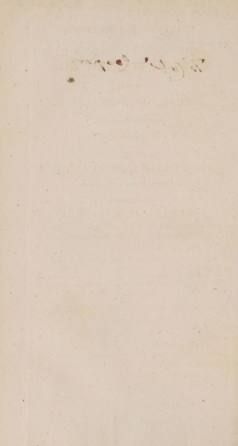 V i • A I I i * € \ I s I 1 ) /. ) V I* \ ) / \ V ** s i * •v I / l A