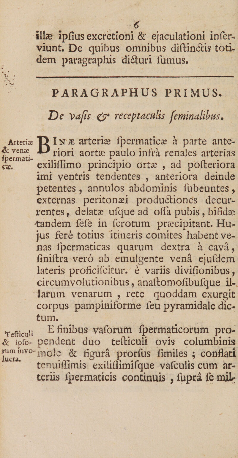 illae ipfius excretioni & ejaculationi infer- viunt. De quibus omnibus diftin£Hs toti¬ dem paragraphis dicturi fumus. PARAGRAPHUS PRIMUS. De vafis & receptaculis feminalibus. Arteriae T> I n ® arteriae fpermatica; a parte ante- & venae D rjori aoj-jg- paulo infra renales arterias cae. exilillimo principio orta; , ad polteriora imi ventris tendentes , anteriora deinde petentes , annulos abdominis fubeuntes , externas peritonaei produitiones decur¬ rentes r delata; ufque ad olla pubis, bifidae tandem fefe in ferotum praecipitant. Hu¬ jus fere totius itineris comites habent ve¬ nas fpermaticas quarum dextra a cava, finiftra vero ab emulgente vena ejufdem lateris proficifcitur. e variis divifionibus, circumvolutionibus, anaftomofibufque il¬ larum venarum , rete quoddam exurgit corpus pampiniforme leu pyramidale dic¬ tum. Tefticnii ^ finibus vaforum fpermaticorum pro- & ipfo- pendent duo tefticuli ovis columbinis rummvo-,nc!e g, figura prorfus fimiles ; conflati tenuillimis exiliflimifque valculis cum ar¬ teriis Ipermaticis continuis , fupra fe nuU