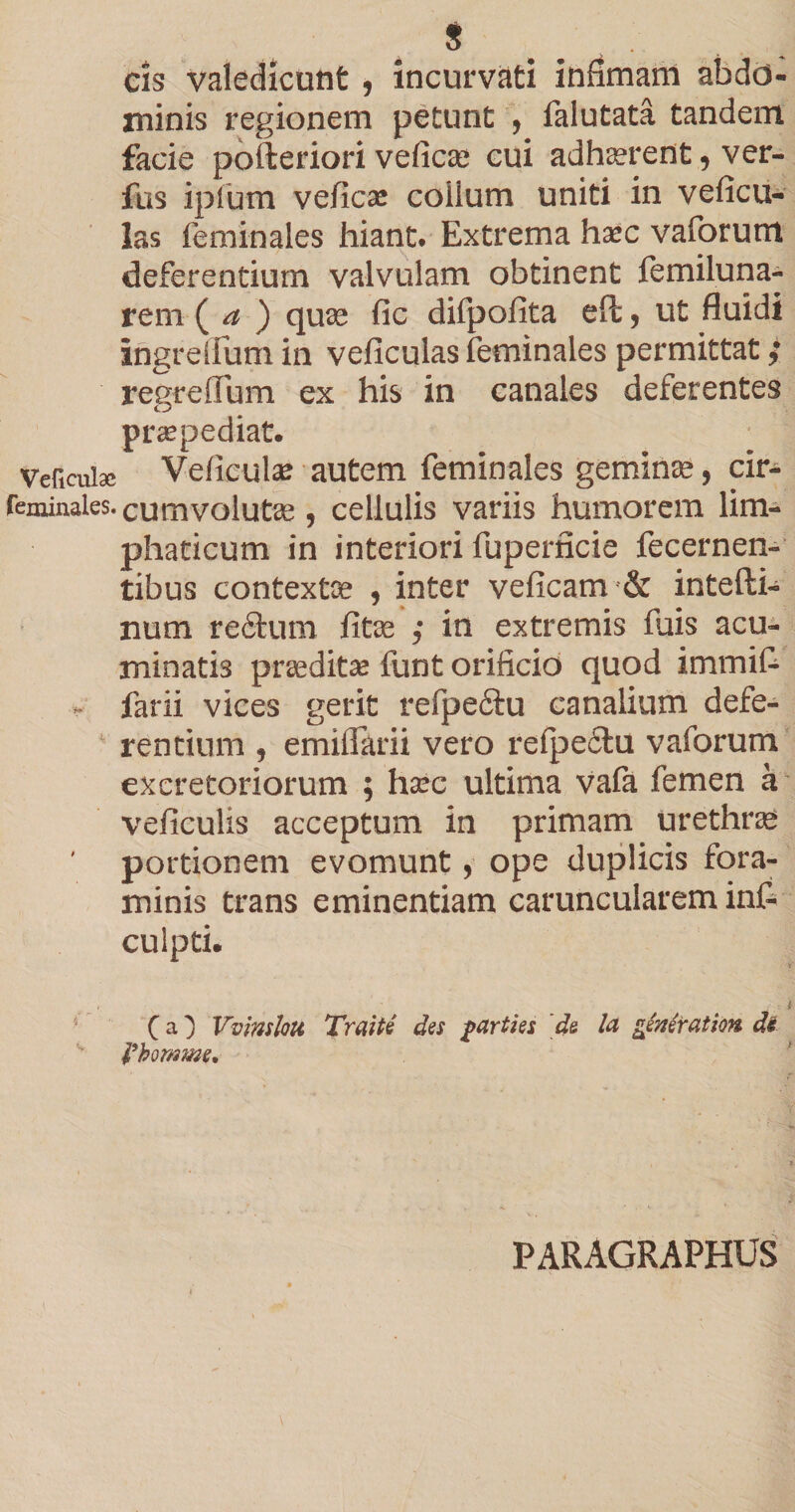 s . cis valedicunt , incurvati infimam abdd- xninis regionem petunt , falutata tandem facie pofteriori veficae cui adhaerent 5 ver- ftis ipfum veficae colium uniti in veficu- las feminales hiant. Extrema haec vaforum deferentium valvulam obtinent femiluna- rem ( a ) qure fic difpofita eft, ut fluidi ingreifum in veficulas feminales permittat; regreflum ex his in canales deferentes praepediat. Veficuiac Veficula? autem feminales geminae ? cir- reminales.Cumvolutse , cellulis variis humorem lim- phaticum in interiori fupemcie fecernen- tibus contextae , inter veficam &amp; intefti- num re£tum fitse ; in extremis fuis acu¬ minatis praeditae funt orificio quod immifc - farii vices gerit refpeftu canalium defe- * rentium , emiiTarii vero relpe£tu vaforum excretoriorum ; hsec ultima vafa femen a veficulis acceptum in primam urethrae portionem evomunt, ope duplicis fora¬ minis trans eminentiam caruncularem inf- cuipti. (a) Vvmloti Traite des parties [de Ia gineration de Fbornwe, paragraphus