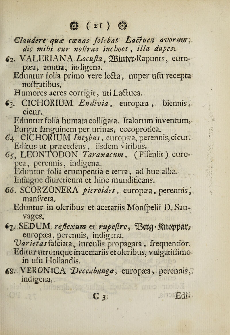 Claudere qu^e coenas J'olebat LaElucn avorum 9. dic mihi cur nodras inchoet, illa dapesi. tz. VALERIANA Locufta, 20SilUft>Rapunts, euro- paea; annua, indigena. Eduntur folia primo vere le&a, nuper ufu recepta- noftratibus. Humores acres corrigit, utiLaftuca, 6% CICHORIUM Endivia* europ^ea , biennis r cicur.. Eduntur folia humata colligata. Italorum inventum» Purgat fanguinem per urinas, eccoprotica. 64. CICHORIUM Intybus, europaea, perennis,cicur. Editur- ut procedens, iisdem viribus. 65. LEONTODON Taraxacum, (Pifenlit) euro- pea, perennis, indigena. Eduntur folia erumpentia e terra , ad huc alba. Infingne diureticum et hinc mundificans. 66. SCORZONERA ficroides,, europaca s perennis 0 manfveta. Eduntur in oleribus et acetariis Monfpelii D.Sau- vages, SEDUM reflexum et rupeftre, ‘iSttg5 $Ui>pp(UV europsea, perennis, indigena. ‘Varietasfaiciata, iurculis propagata, frequencior. Editur ucrumquemacetariis et oleribus, vulgatidimo in ufu Holiandis. 68. VERONICA Deccabungit, europaea, perennis,; indigena,. G 31 Edi*