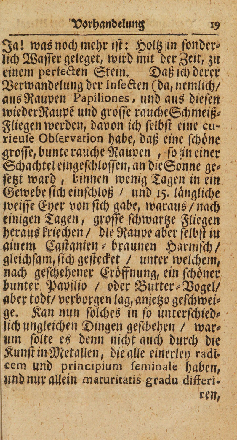 V$rf>4n&amp;el«ns 19 3a! ma$ noch mehr ifh £>oI§;in fonber* lieb SBafier geleget, rnirb mit bergelt, 5« einem perfe&amp;en ©tein. ©a§ ieb bereu Q3ermanbelung ber infe&amp;en (ba, nemlicb/ aug Staupen Papiliones, unb au^ biefeit. mieberStaupe unb grofie raucbe<gcbmeig* gtiegen merben, baoon ieb felb/i eine cu- rieufe Obfervation habe, ba|J eine febone gro/fe, bunte raudje Raupen , fo lin einer '©cbacbtei eingefebloj]en, an bie@onne ge* fegt marb , binnen menig tagen in ein (gemebe ft cb einfcblofj 1 unb 15. längliche meitTe @per ppu ftcb gäbe, traraue / nae&amp; einigen tagen, grafe f<bmar$e gliegen beraub frieeben / ble Staupe aber felbfr iu ainem Manien # braunen £>arnifcb/ gleiepfam, fiep gefteefet / unter welchem, nach gefebrbener Eröffnung, ein /ebener bunter 9)apilip / pber 33utter>23ogel/ aber tobt/ perborgen tag, anjeßo gefebwei* ge. $an nun fotebeö in fo unterfebieb* lieb ungleichen ©Ingen gefebeben / war* um folte H benn nicht auch bureb bie Jvunft in Metallen, tie alle einerlei; radi« cera unb principium feminale haben, unb nur allein maturitaris gradu differi.