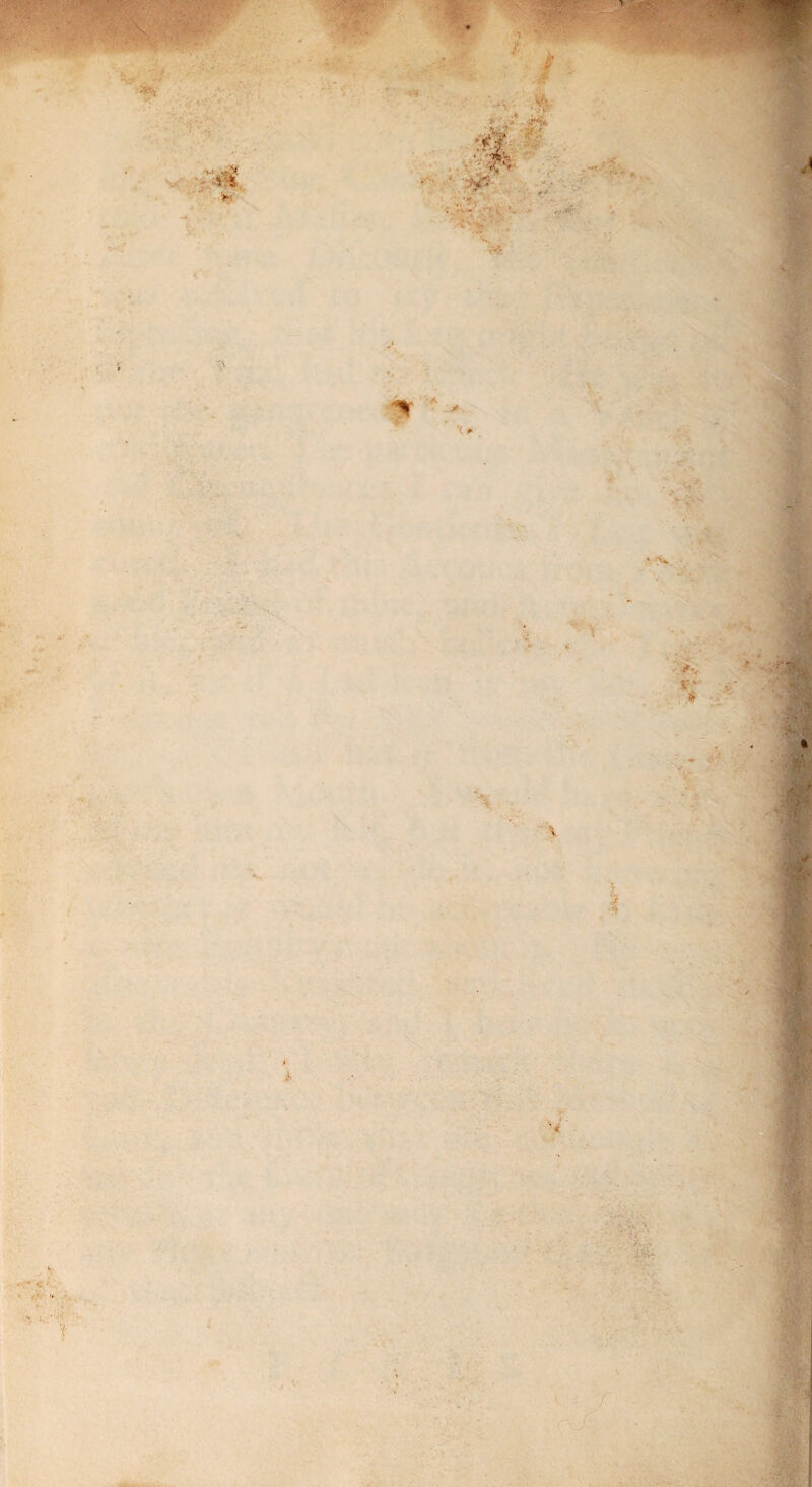 ■» V I 'V vr '• •*> v t