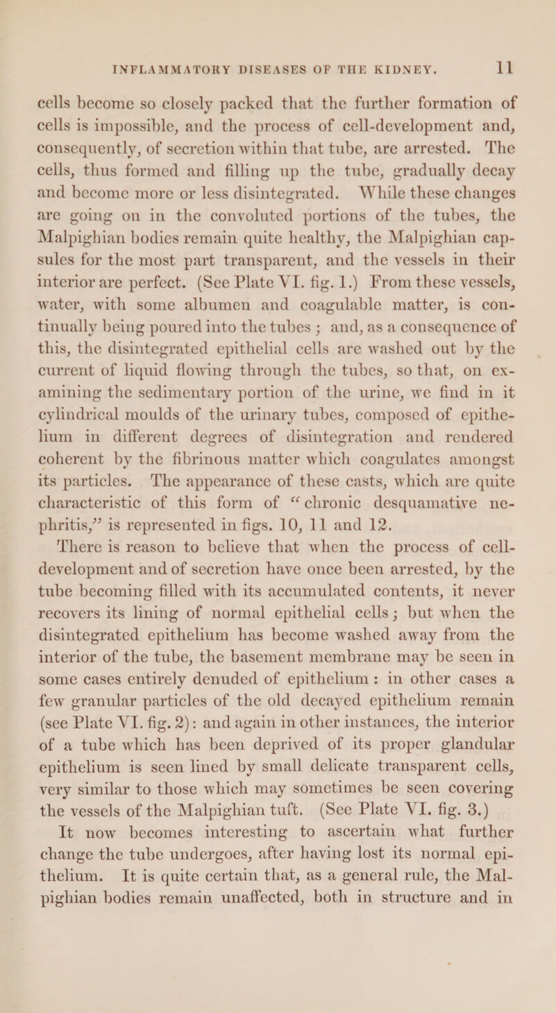 cells become so closely packed that the further formation of cells is impossible, and the process of cell-development and, consequently, of secretion within that tube, are arrested. The cells, thus formed and filling up the tube, gradually decay and become more or less disintegrated. While these changes are going on in the convoluted portions of the tubes, the Malpighian bodies remain quite healthy, the Malpighian cap¬ sules for the most part transparent, and the vessels in their interior are perfect. (See Plate VI. fig. I.) From these vessels, water, with some albumen and coagulable matter, is con¬ tinually being poured into the tubes ; and, as a consequence of this, the disintegrated epithelial cells are washed out by the current of liquid flowing through the tubes, so that, on ex¬ amining the sedimentary portion of the urine, we find in it cylindrical moulds of the urinary tubes, composed of epithe¬ lium in different degrees of disintegration and rendered coherent by the fibrinous matter which coagulates amongst its particles. The appearance of these casts, which are quite characteristic of this form of “ chronic desquamative ne¬ phritis,” is represented in figs. 10, 11 and 12. There is reason to believe that when the process of cell- development and of secretion have once been arrested, by the tube becoming filled with its accumulated contents, it never recovers its lining of normal epithelial cells; but when the disintegrated epithelium has become wrashed away from the interior of the tube, the basement membrane may be seen in some cases entirely denuded of epithelium : in other cases a few granular particles of the old decayed epithelium remain (see Plate VI. fig. 2): and again in other instances, the interior of a tube which has been deprived of its proper glandular epithelium is seen lined by small delicate transparent cells, very similar to those which may sometimes be seen covering the vessels of the Malpighian tuft. (See Plate VI. fig. 3.) It now becomes interesting to ascertain what further change the tube undergoes, after having lost its normal epi¬ thelium. It is quite certain that, as a general rule, the Mal¬ pighian bodies remain unaffected, both in structure and in