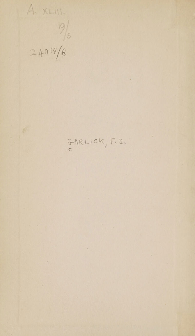 ‘ wi, fel teal’ daa: g : a : GARLICK eon ; \e oe) ee ‘yore *, : &gt;. oho Tr ) ; ¢ ii} Ay me