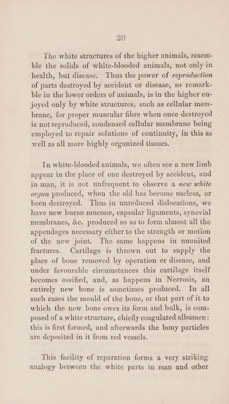 The white structures of the higher animals, resem¬ ble the solids of white-blooded animals, not only in health, but disease: Thus the power of reproduction of parts destroyed by accident or disease, so remark- ble in the lower orders of animals, is in the higher en¬ joyed only by white structures, such as cellular mem¬ brane, for proper muscular fibre when once destroyed is not reproduced, condensed cellular membrane being employed to repair solutions of continuity, in this as well as all more highly organized tissues. In white-blooded animals, we often see a new limb appear in the place of one destroyed by accident, and in man, it is not unfrequent to observe a new white organ produced, when the old has become useless, or been destroyed. Thus in unreduced dislocations, we have new bursae mucosae, capsular ligaments, synovial membranes, &amp;c. produced so as to form almost all the appendages necessary either to the strength or motion of the new joint. The same happens in ununited fractures. Cartilage is thrown out to supply the place of bone removed by operation or disease, and under favourable circumstances this cartilage itself becomes ossified, and, as happens in Necrosis, an entirely new bone is sometimes produced. In all such cases the mould of the bone, or that part of it to which the new bone owes its form and bulk, is com¬ posed of a white structure, chiefly coagulated albumen: this is first formed, and afterwards the bony particles are deposited in it from red vessels. This facility of reparation forms a very striking analogy between the white parts in man and other