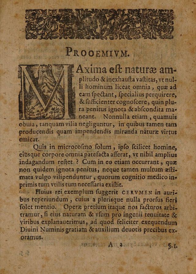 digitised image 3