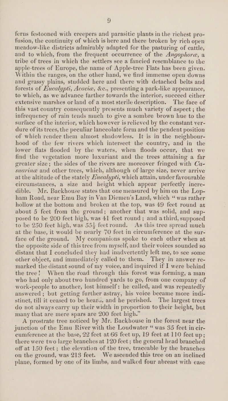ferns festooned with creepers and parasitic plants in the richest pro¬ fusion, the continuity of which is here and there broken by rich open meadow-like districts admirably adapted for the pasturing of cattle, and to which, from the frequent occurrence of the Angophorce, a tribe of trees in which the settlers see a fancied resemblance to the apple-trees of Europe, the name of Apple-tree Flats has been given. Within the ranges, on the other hand, we find immense open downs and grassy plains, studded here and there with detached belts and forests of Eucalypti, Acacice, &c., presenting a park-like appearance, to which, as we advance farther towards the interior, succeed either extensive marshes or land of a most sterile description. The face of this vast country consequently presents much variety of aspect; the infrequency of rain tends much to give a sombre brown hue to the surface of the interior, which however is relieved by the constant ver¬ dure of its trees, the peculiar lanceolate form and the pendent position of which render them almost shadowless. It is in the neighbour¬ hood of the few rivers which intersect the country, and in the lower flats flooded by the waters, when floods occur, that we find the vegetation more luxuriant and the trees attaining a far greater size; the sides of the rivers are moreover fringed with Ca- suarince and other trees, which, although of large size, never arrive at the altitude of the stately Eucalypti, which attain, under favourable circumstances, a size and height which appear perfectly incre¬ dible. Mr. Backhouse states that one measured by him on the Lop- ham Road, near Emu Bay in Van Diemen’s Land, which “ was rather hollow at the bottom and broken at the top, was 49 feet round at about 5 feet from the ground; another that was solid, and sup¬ posed to be 200 feet high, was 41 feet round ; and a third, supposed to be 250 feet high, was 55~ feet round. As this tree spread much at the base, it would be nearly 70 feet in circumference at the sur¬ face of the ground. My companions spoke to each other when at the opposite side of this tree from myself, and their voices sounded so distant that I concluded they had inadvertently left me, to see some other object, and immediately called to them. They in answer re¬ marked the distant sound of my voice, and inquired if I were behind the tree ! When the road through this forest was forming, a man who had only about two hundred yards to go, from one company of work-people to another, lost himself: he called, and was repeatedly answered ; but getting further astray, his voice became more indi¬ stinct, till it ceased to be hearu, and he perished. The largest trees do not always carry up their width in proportion to their height, but many that are mere spars are 200 feet high.” A prostrate tree noticed by Mr. Backhouse in the forest near the junction of the Emu River with the Loudwater “ was 35 feet in cir¬ cumference at the base, 22 feet at 66 feet up, 19 feet at 110 feet up; there were two large branches at 120 feet; the general head branched off at 150 feet; the elevation of the tree, traceable by the branches on the ground, was 213 feet. We ascended this tree on an inclined plane, formed by one of its limbs, and walked four abreast with ease