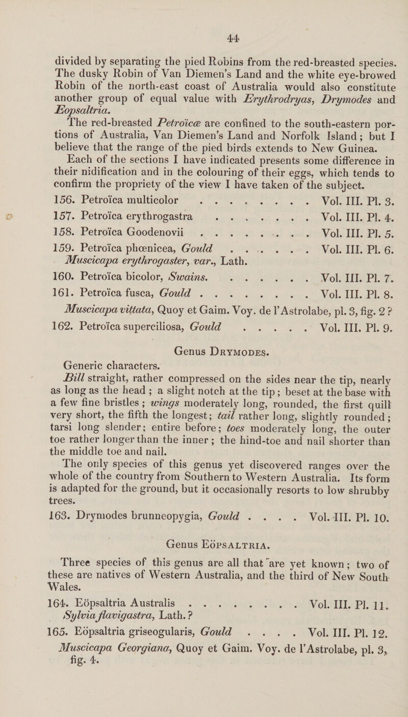 o divided by separating the pied Robins from the red-breasted species. The dusky Robin of Van Diemen’s Land and the white eye-browed Robin of the north-east coast of Australia would also constitute another group of equal value with Erythrodryas, Drymodes and Eopsaltria. The red-breasted Petro'icce are confined to the south-eastern por¬ tions of Australia, Van Diemen’s Land and Norfolk Island; but I believe that the range of the pied birds extends to New Guinea. Each of the sections I have indicated presents some difference in their nidification and in the colouring of their eggs, which tends to confirm the propriety of the view I have taken of the subject. 156. Petroi'ca multicolor . . . 157. Petroi'ca erythrogastra . . 158. Petroi'ca Goodenovii . . . 159. Petroi'ca phoenicea, Gould Muscicapa erythrogaster, var.> Lath 160. Petroi'ca bicolor, Swains. 161. Petroi’ca fusca, Goidd . . . Vol. III. PI. 3. Vol. III. Pi. 4. Vol. III. PI. 5. Vol. III. PL 6. Vol III. PI. 7. Vol. III. PI. 8. Muscicapa vittata, Quoy et Gaim. Voy. de 1’Astrolabe, pi. 3, fig. 2 ? 162. Petroi’ca superciliosa, Gould .Vol. III. PI. 9. Genus Drymodes. Generic characters. Bill straight, rather compressed on the sides near the tip, nearly as long as the head ; a slight notch at the tip; beset at the base with a few fine bristles ; wings moderately long, rounded, the first quill very short, the fifth the longest; tail rather long, slightly rounded; tarsi long slender; entire before; toes moderately long, the outer toe rather longer than the inner; the hind-toe and nail shorter than the middle toe and nail. The only species of this genus yet discovered ranges over the whole of the country from Southern to Western Australia. Its form is adapted for the ground, but it occasionally resorts to low shrubby trees. 163. Drymodes brunneopygia, Gould .... Vol. III. PI. 10. Genus Eopsaltria. Three species of this genus are all that are yet known; two of these are natives of Western Australia, and the third of New South Wales. 164. Eopsaltria Australis.Vol. III. PI. 1L Sylviajlavigastra, Lath. ? 165. Eopsaltria griseogularis, Gould .... Vol. III. PI. 12. Muscicapa Georgiana, Quoy et Gaim. Voy. de l’Astrolabe, pi. 3, fig. 4.