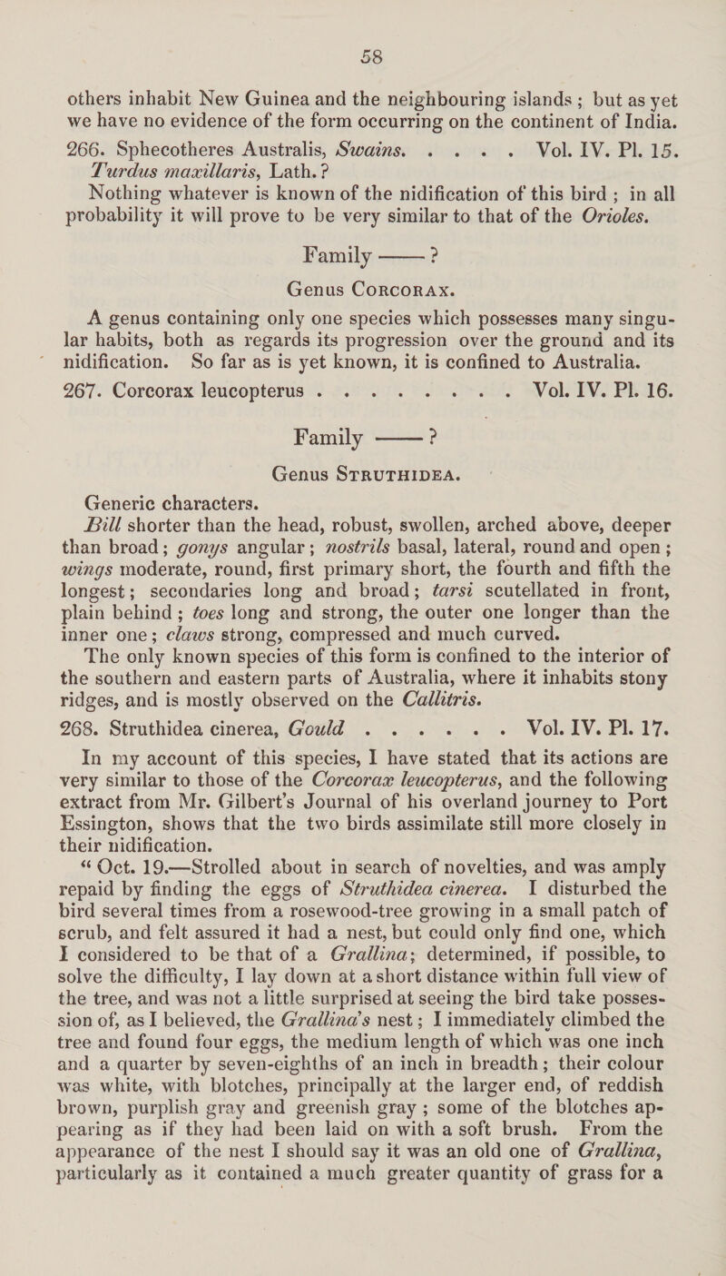 others inhabit New Guinea and the neighbouring islands ; but as yet we have no evidence of the form occurring on the continent of India. 266. Sphecotheres Australis, Swains.Vol. IV. PI. 15. Turdus maxillaris, Lath.? Nothing whatever is known of the nidification of this bird ; in all probability it will prove to be very similar to that of the Orioles. Family-? Genus Corcorax. A genus containing only one species which possesses many singu¬ lar habits, both as regards its progression over the ground and its nidification. So far as is yet known, it is confined to Australia. 267. Corcorax leucopterus.Vol. IV. PL 16. Family -? Genus Struthidea. Generic characters. Bill shorter than the head, robust, swollen, arched above, deeper than broad; gonys angular; nostrils basal, lateral, round and open ; wings moderate, round, first primary short, the fourth and fifth the longest; secondaries long and broad; tarsi scutellated in front, plain behind ; toes long and strong, the outer one longer than the inner one; claws strong, compressed and much curved. The only known species of this form is confined to the interior of the southern and eastern parts of Australia, where it inhabits stony ridges, and is mostly observed on the Callitris. 268. Struthidea cinerea, Gould.Vol. IV. PI. 17. In my account of this species, I have stated that its actions are very similar to those of the Corcorax leucopterus, and the following extract from Mr. Gilbert’s Journal of his overland journey to Port Essington, shows that the two birds assimilate still more closely in their nidification. “ Oct. 19.—Strolled about in search of novelties, and was amply repaid by finding the eggs of Struthidea cinerea. I disturbed the bird several times from a rosewood-tree growing in a small patch of scrub, and felt assured it had a nest, but could only find one, which I considered to be that of a Grallina; determined, if possible, to solve the difficulty, I lay down at a short distance within full view of the tree, and was not a little surprised at seeing the bird take posses¬ sion of, as I believed, the Grallinds nest; I immediately climbed the tree and found four eggs, the medium length of which was one inch and a quarter by seven-eighths of an inch in breadth; their colour was white, with blotches, principally at the larger end, of reddish brown, purplish gray and greenish gray ; some of the blotches ap¬ pearing as if they had been laid on with a soft brush. From the appearance of the nest I should say it was an old one of Grallina, particularly as it contained a much greater quantity of grass for a